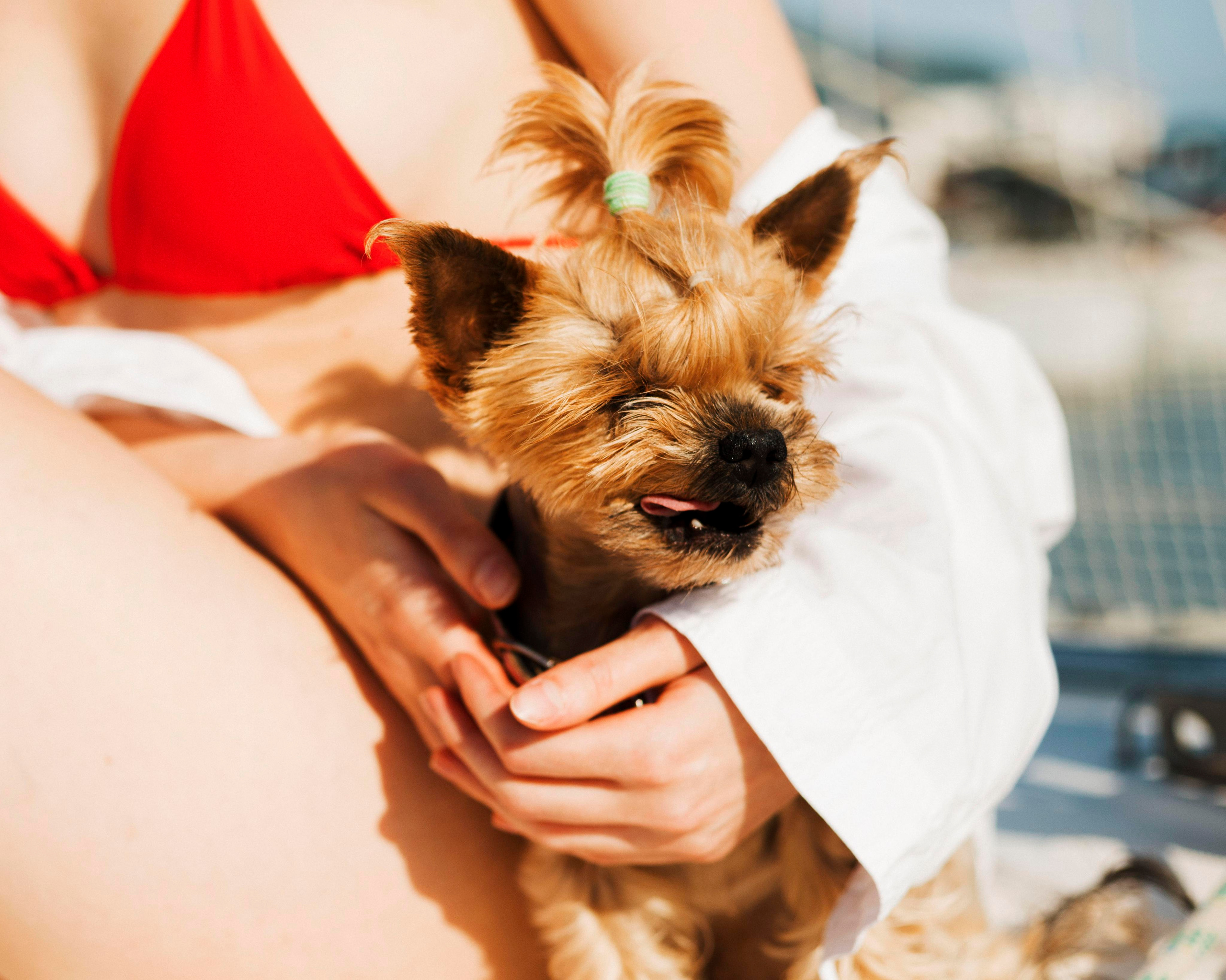 Nadya. Photographer in Montenegro Tatiana Talaeva