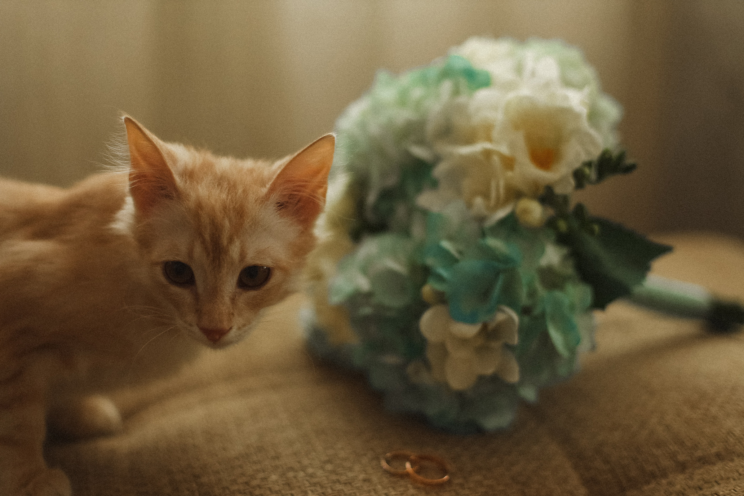 Саша и Настя. Алексеева Татьяна свадебный фотограф Краснодар, Краснодарский край