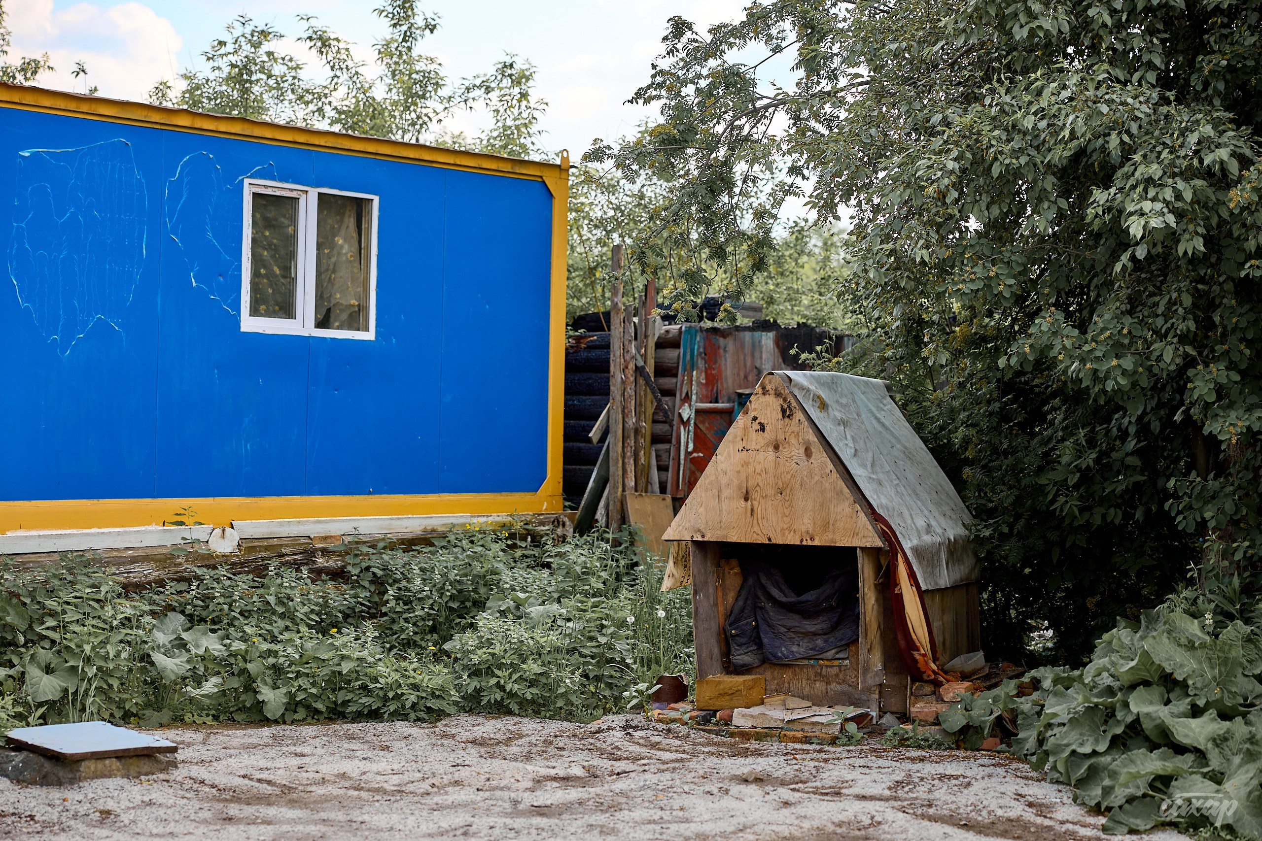 Что вижу, то и пою! от 2024_06_11. Профессиональный фотограф в Екатеринбурге Юра Сахар