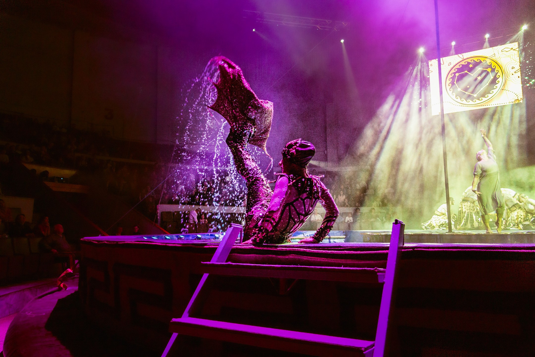 Цирк Одиссея. Фотограф в Самаре и Самарской области Констанция