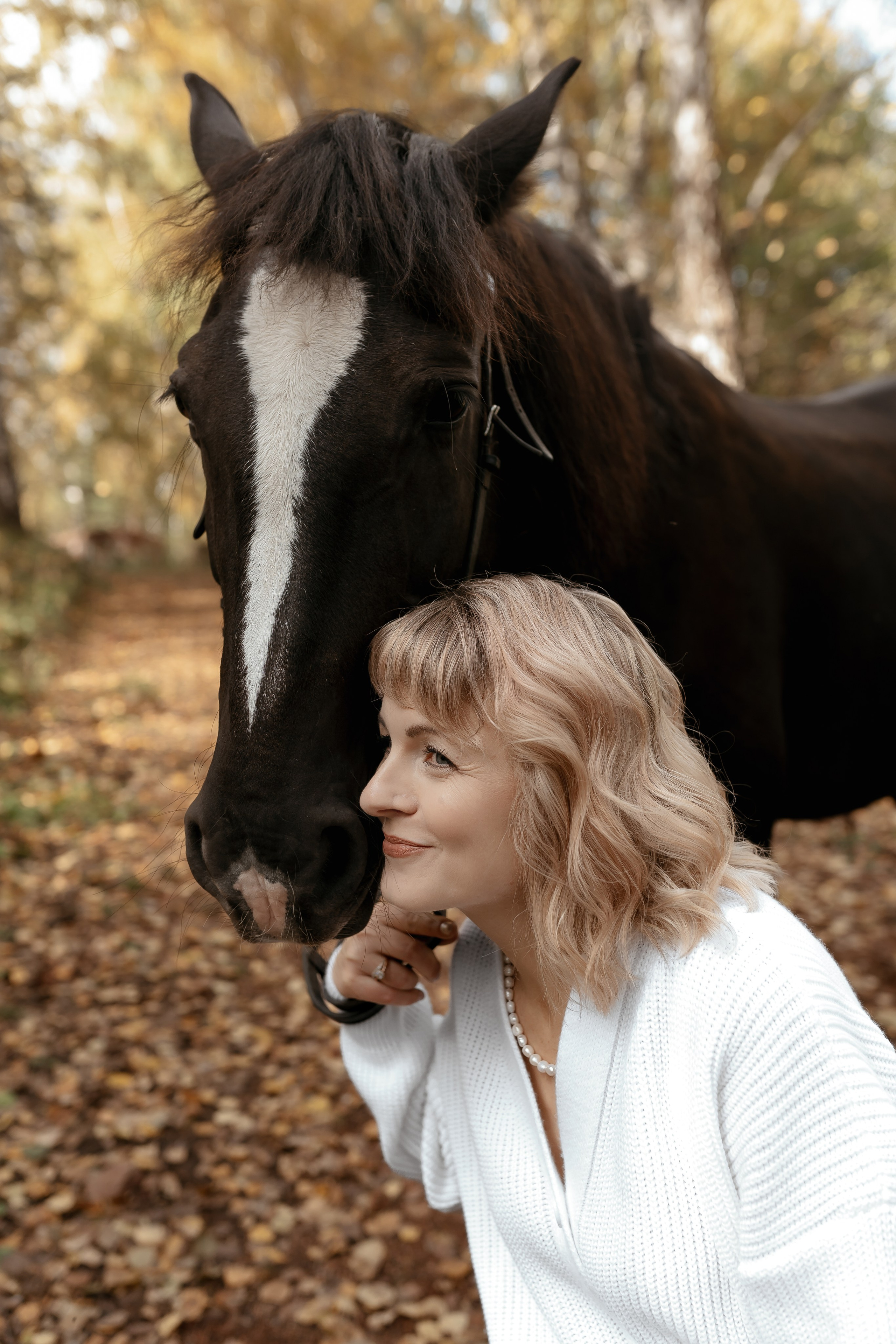 На конном дворе. Фотограф Ким Наталья в Красноярске