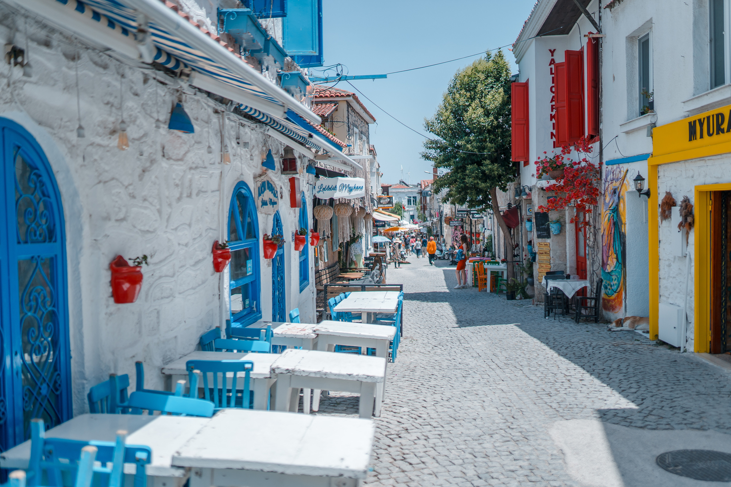 Anex Tour. @tomrus: Рустам Шагиморданов — фотограф