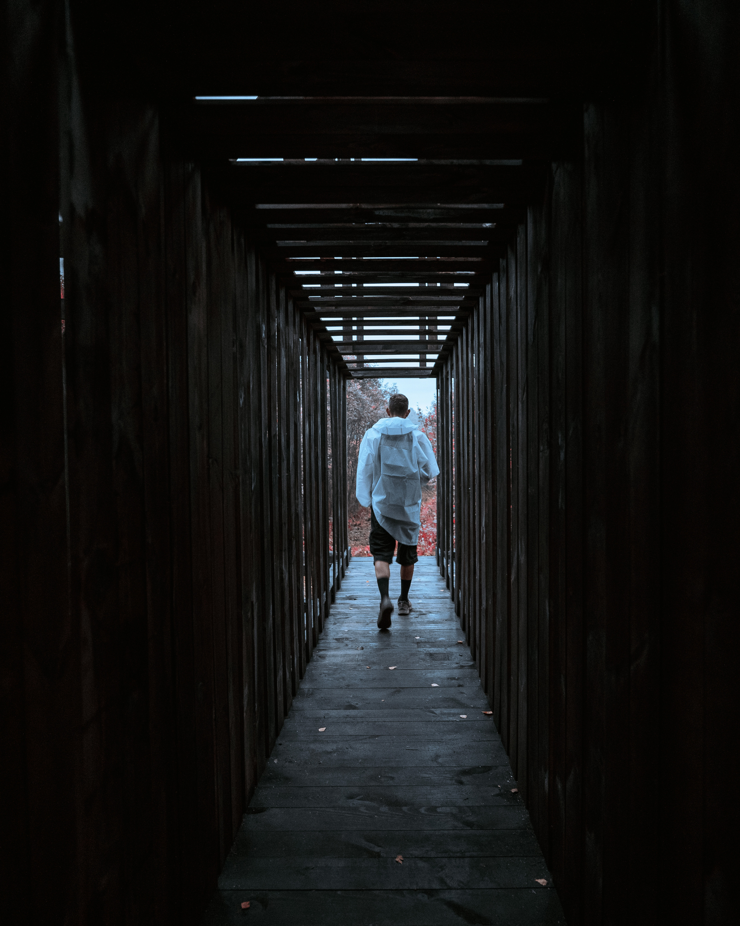 Signal 2022. @tomrus: Рустам Шагиморданов — фотограф