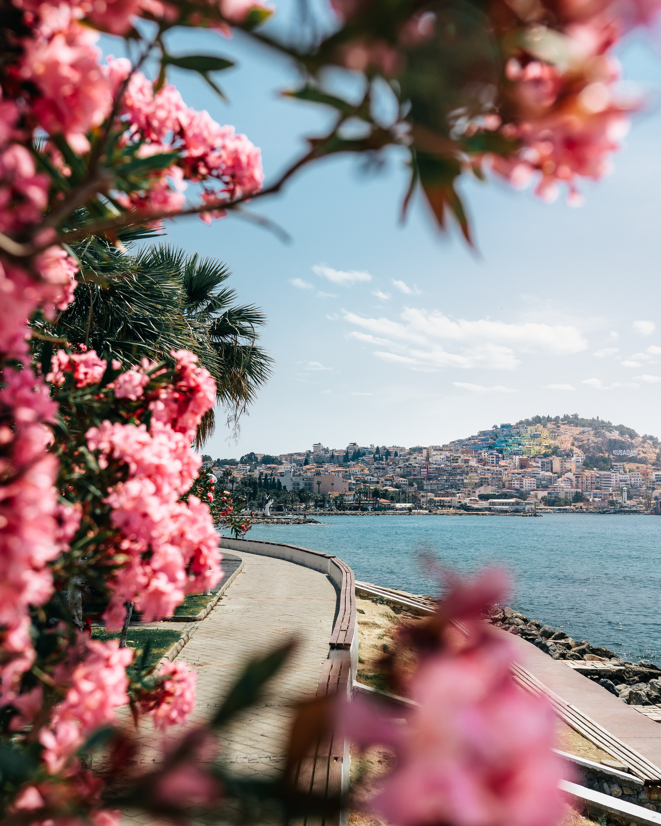 Anex Tour. @tomrus: Рустам Шагиморданов — фотограф