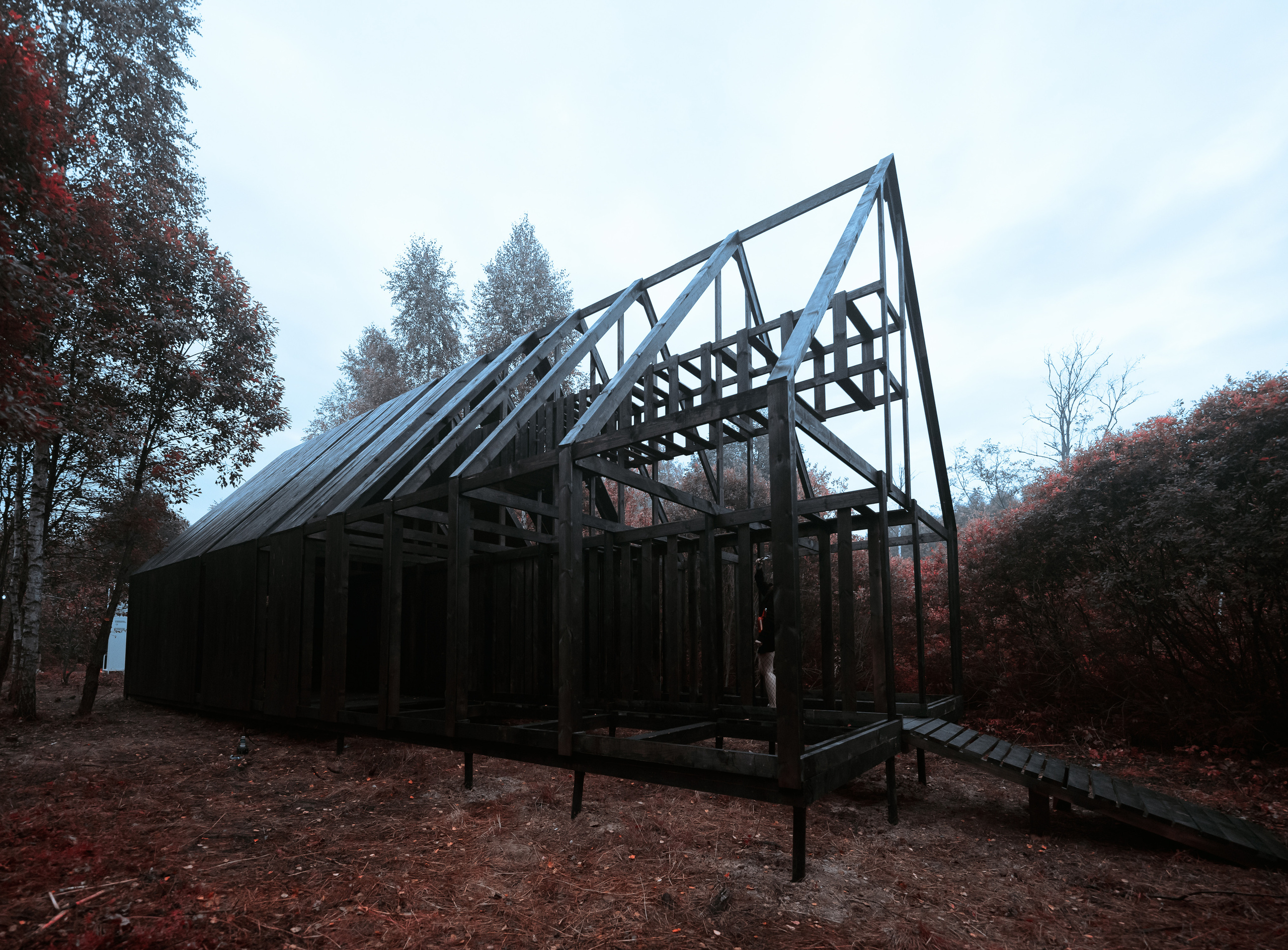 Signal 2022. @tomrus: Рустам Шагиморданов — фотограф