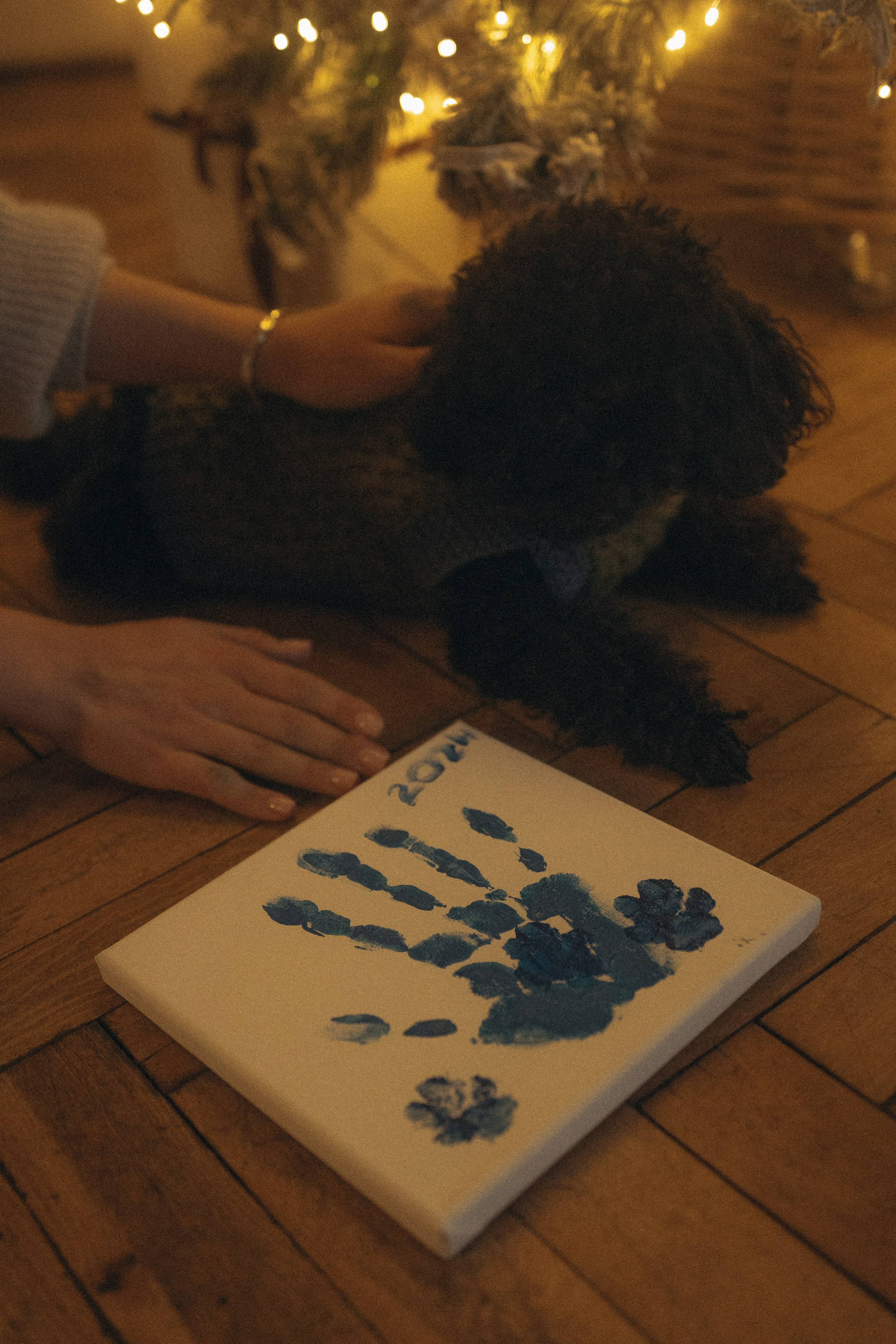 Полина и Мия. Фотораф — анималист Мария Шистка