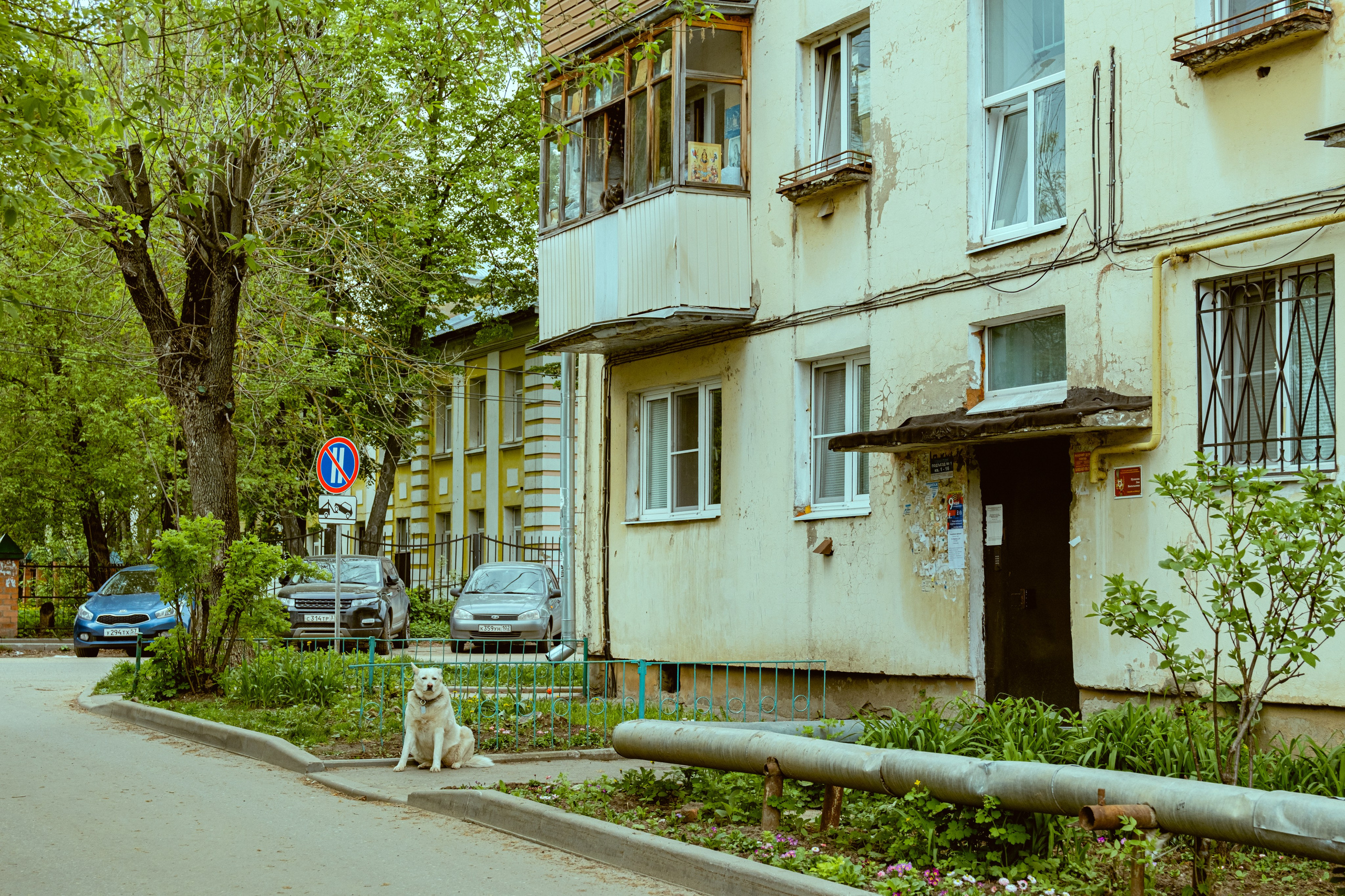 Владимир. Екатерина Лапина фотографирует