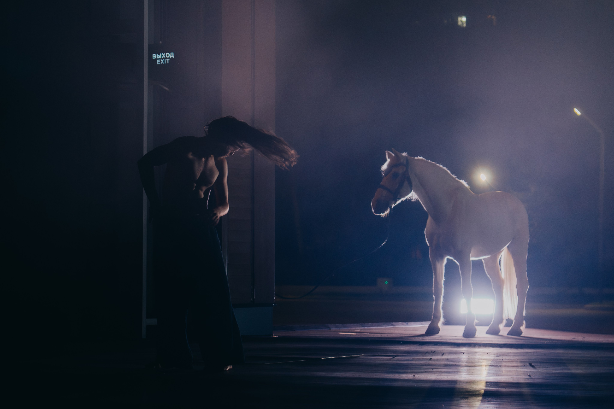 PERFORMA, The Hour of the Horse. @tomrus: Рустам Шагиморданов — фотограф