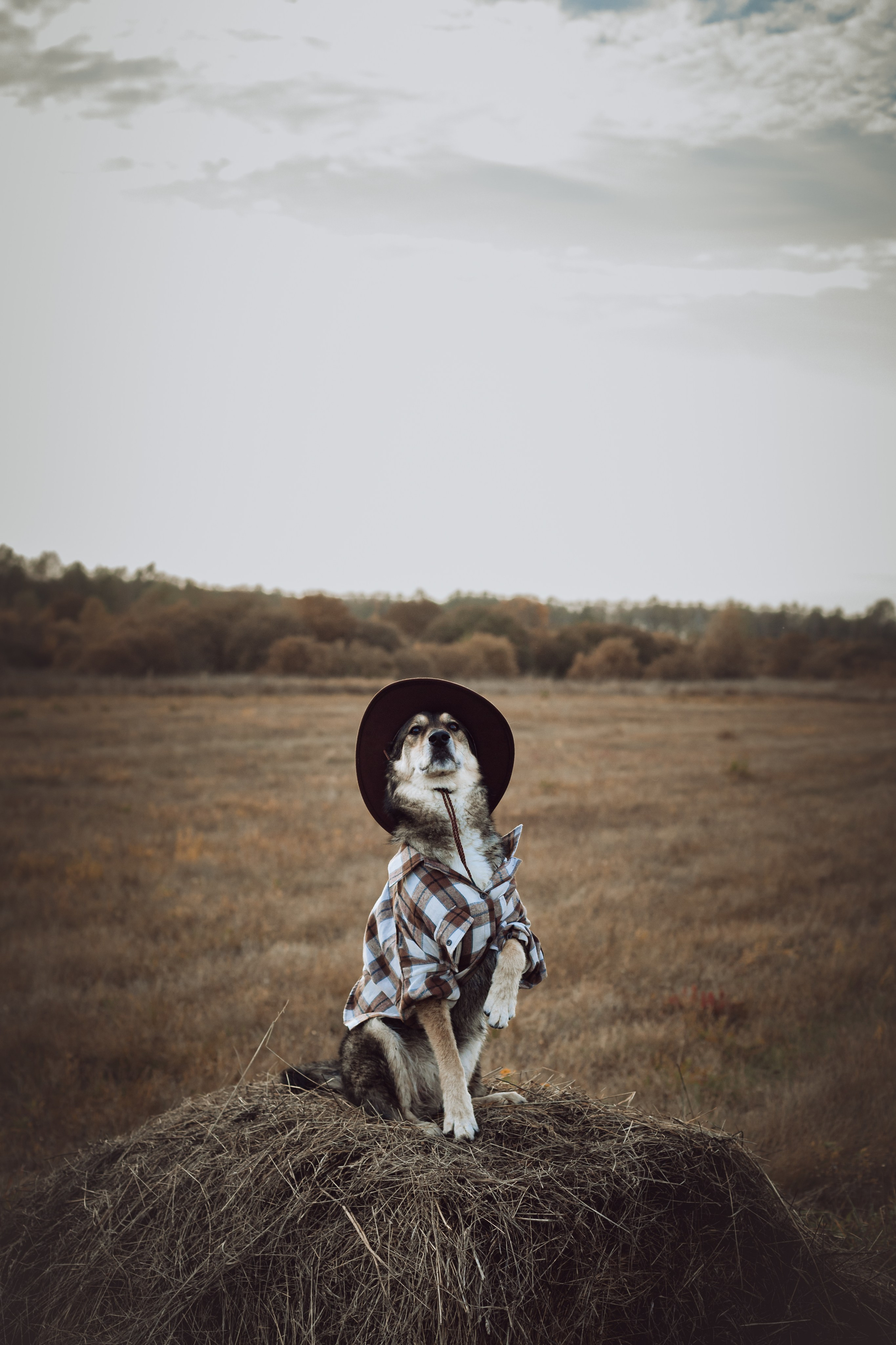 Кантри Дюк. Фотограф-анималист Татьяна Степанова