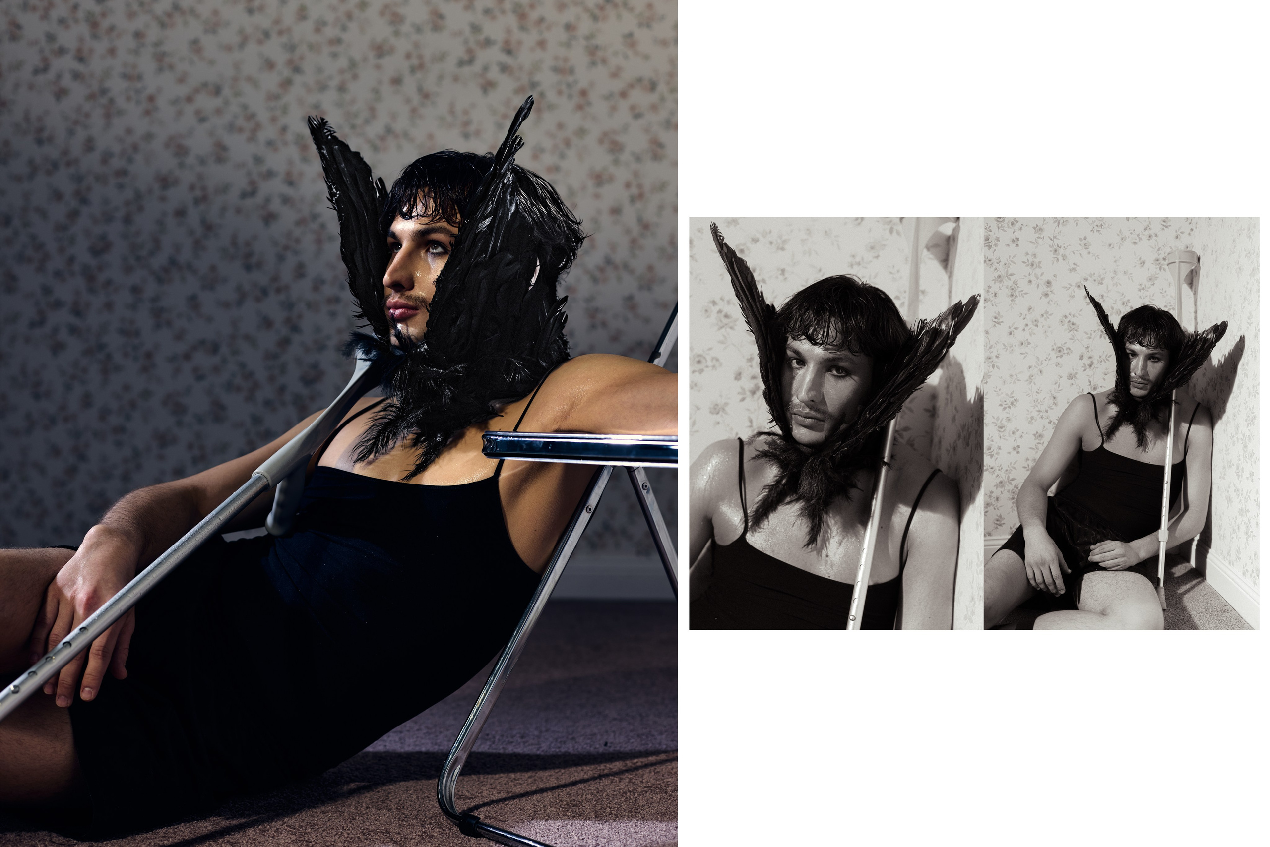 Bird in a cage. PLANTA ROSA — REPORTAGE