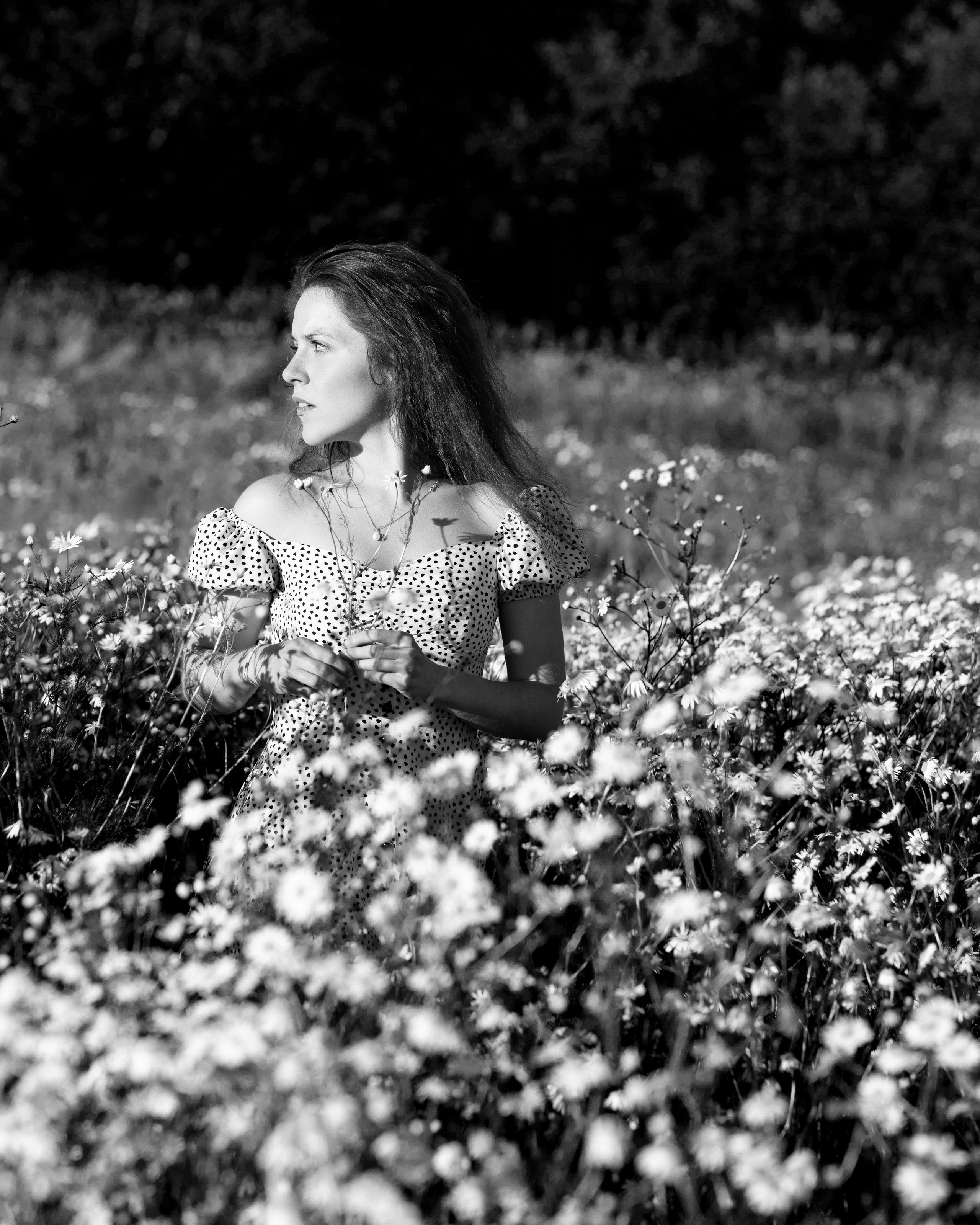 ЧБ ромашки. Портретный фотограф Екатерина Лысенко, Москва