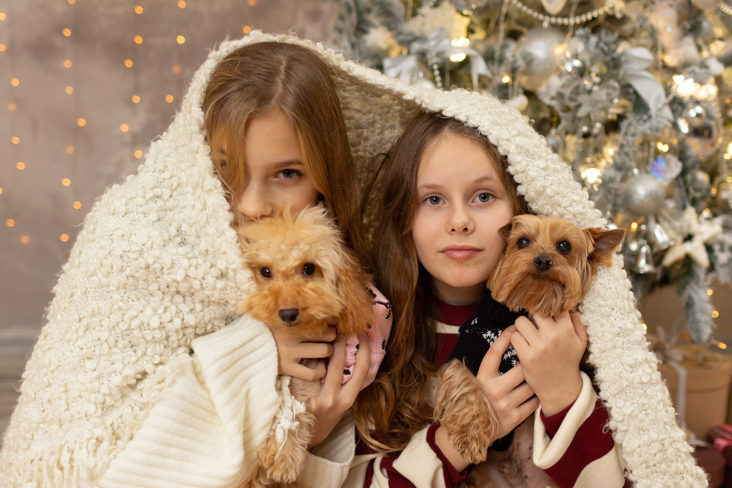 Новогодняя фотосессия. Портретный и семейный фотограф в Краснодаре Оксана Сараева