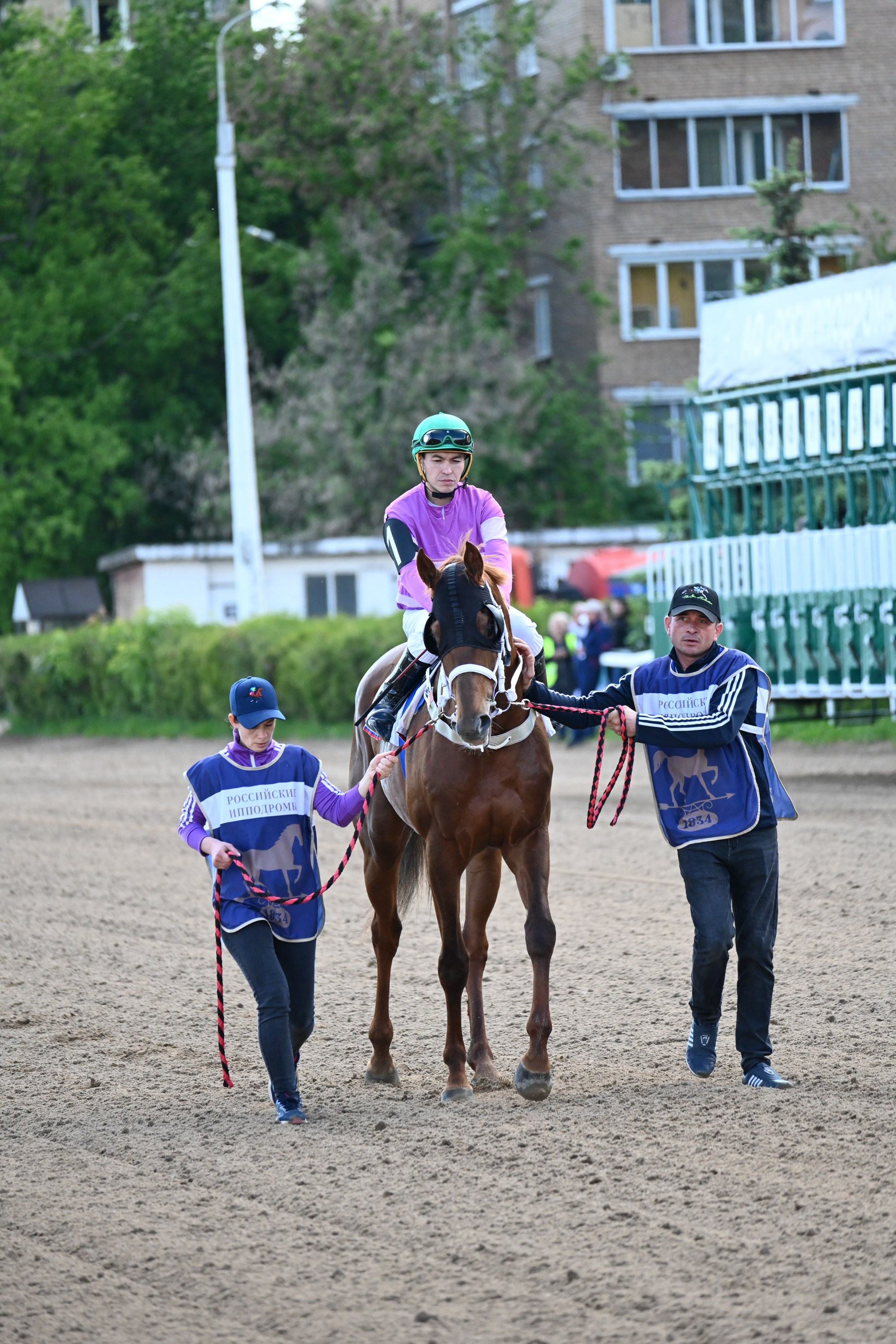 Ипподром (Москва). Fotolux