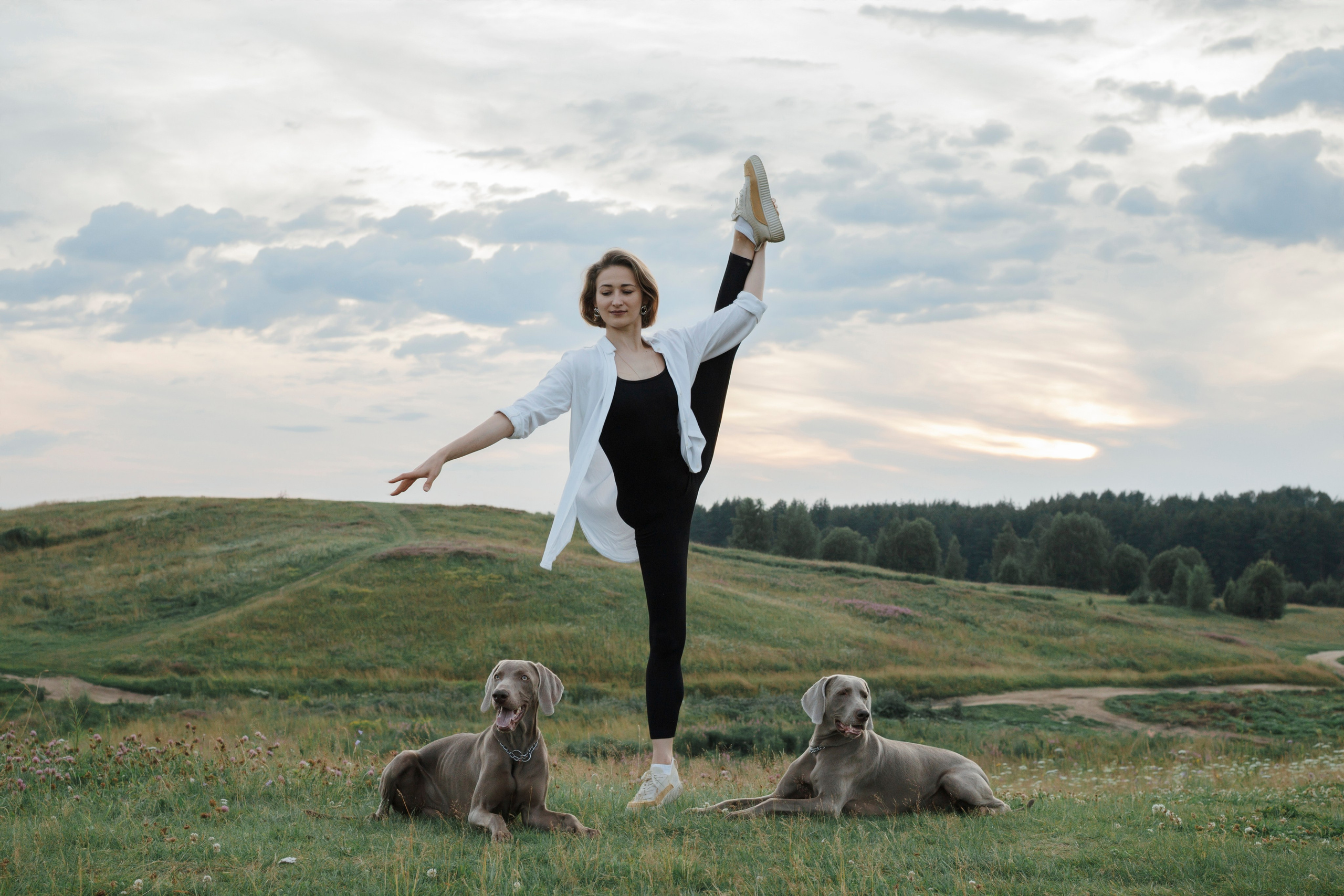 Маргарита и веймаранеры. Фотограф-анималист в Санкт-Петеребурге Титова Алиса