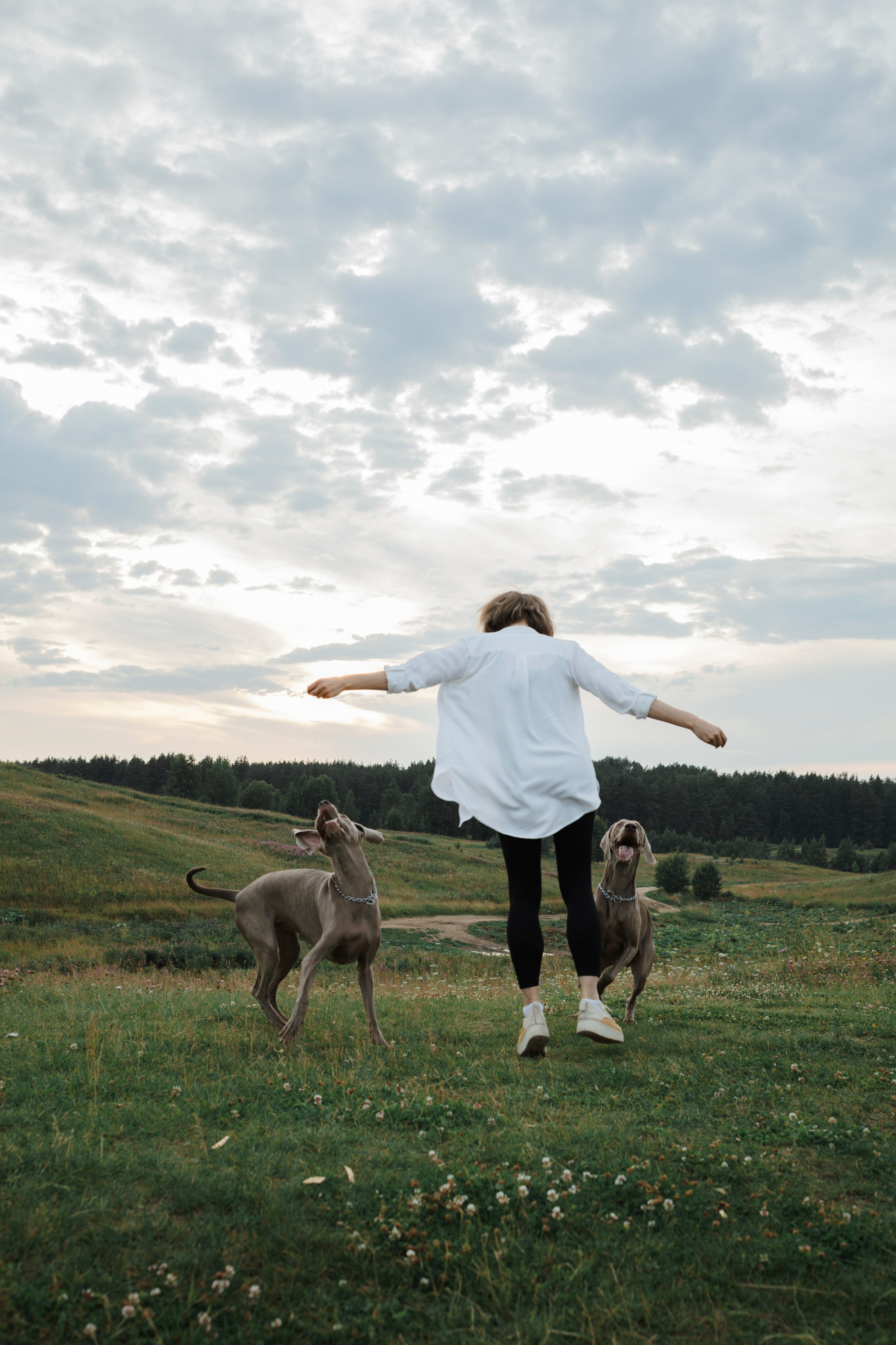 Маргарита и веймаранеры. Фотограф-анималист в Санкт-Петеребурге Титова Алиса