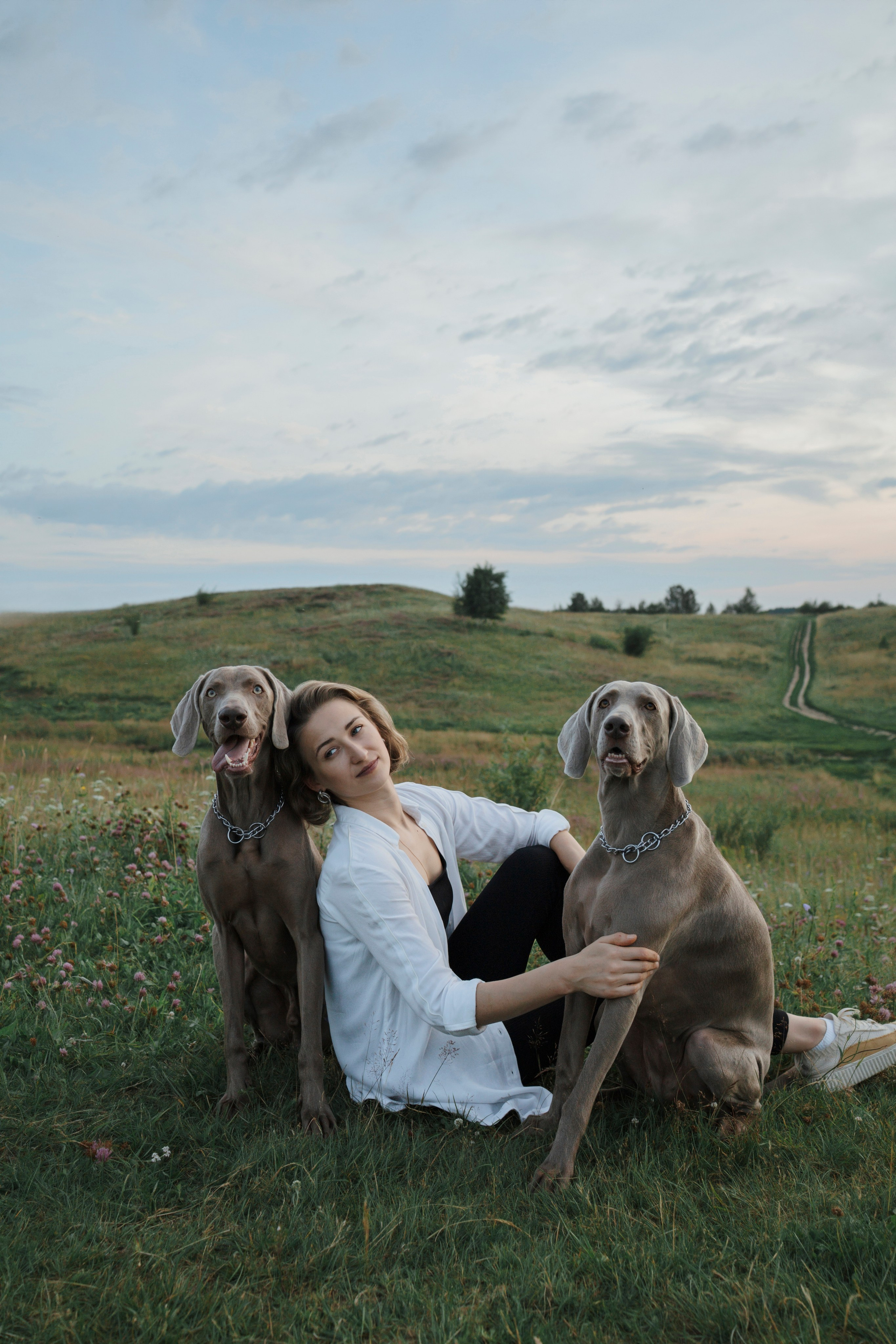 Маргарита и веймаранеры. Фотограф-анималист в Санкт-Петеребурге Титова Алиса