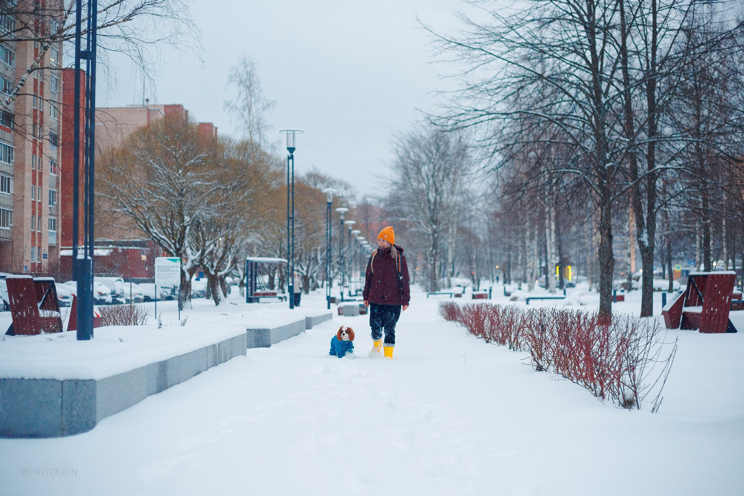 Внезапно апрельская зима. Фотограф-анималист Наталия Чистюхина в г. Сосновый Бор и ЛО