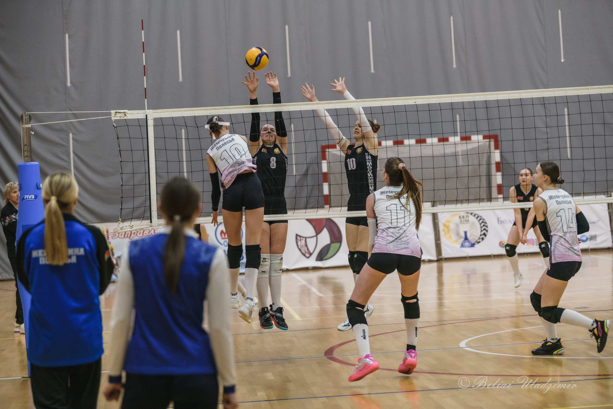 Первенство Республики Беларусь по волейболу среди девушек 2010–2011 гр. Репортажный фотограф Владимир Беляй