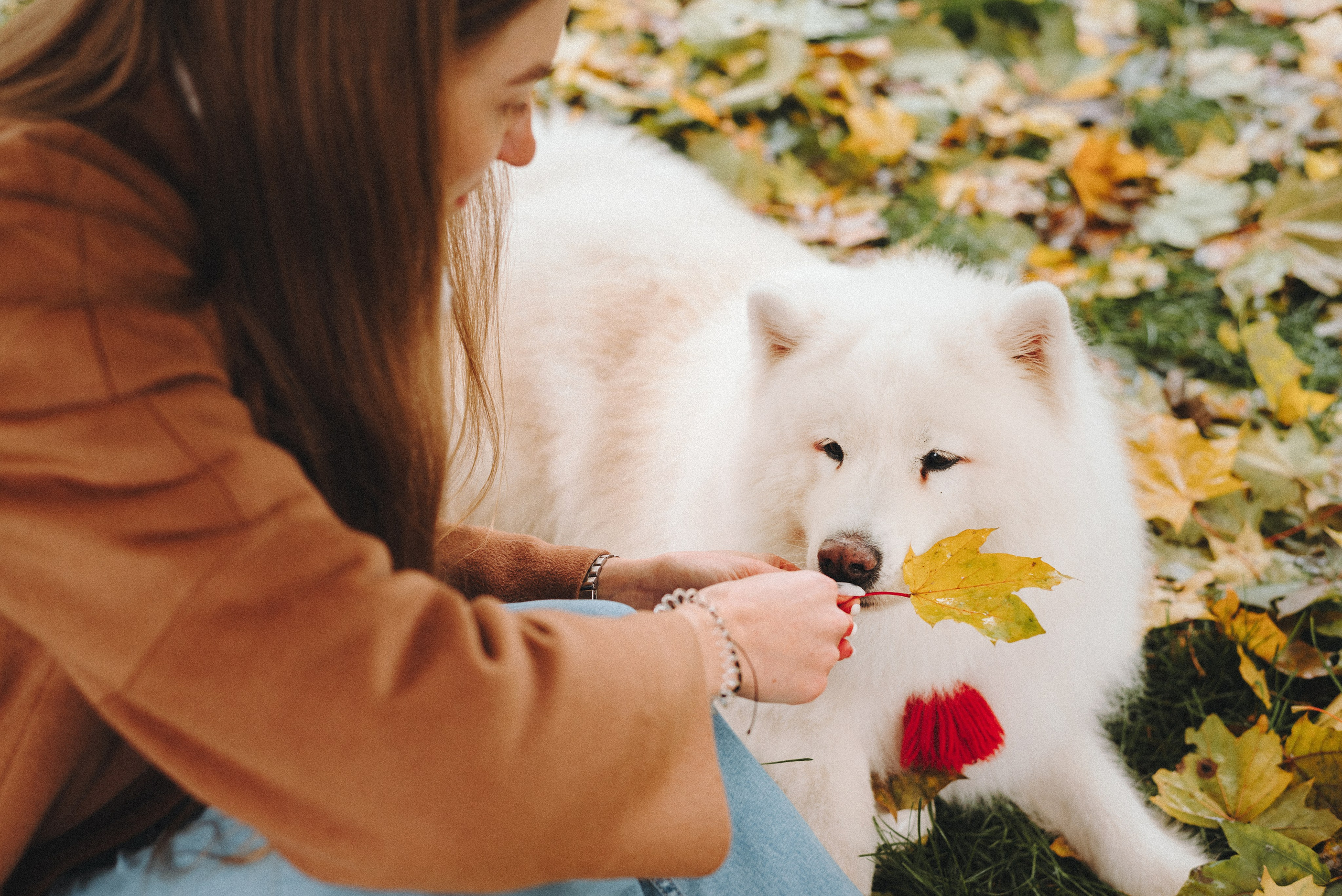 Valya & Varya. Natalia Finch Photography — Family, Kids & Pet Photographer in Chicago, IL