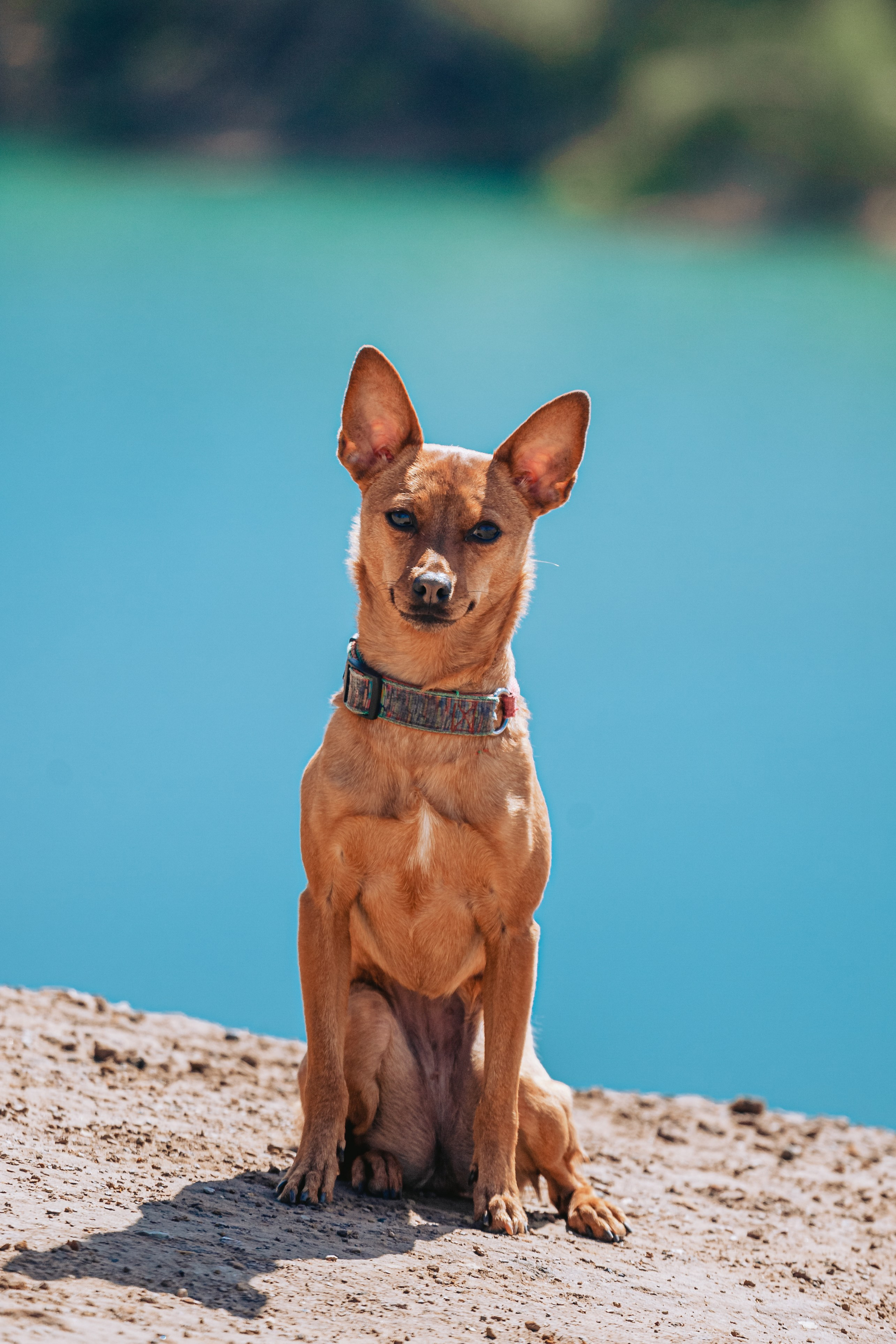 Кондуки. Фотограф-анималист Татьяна Степанова