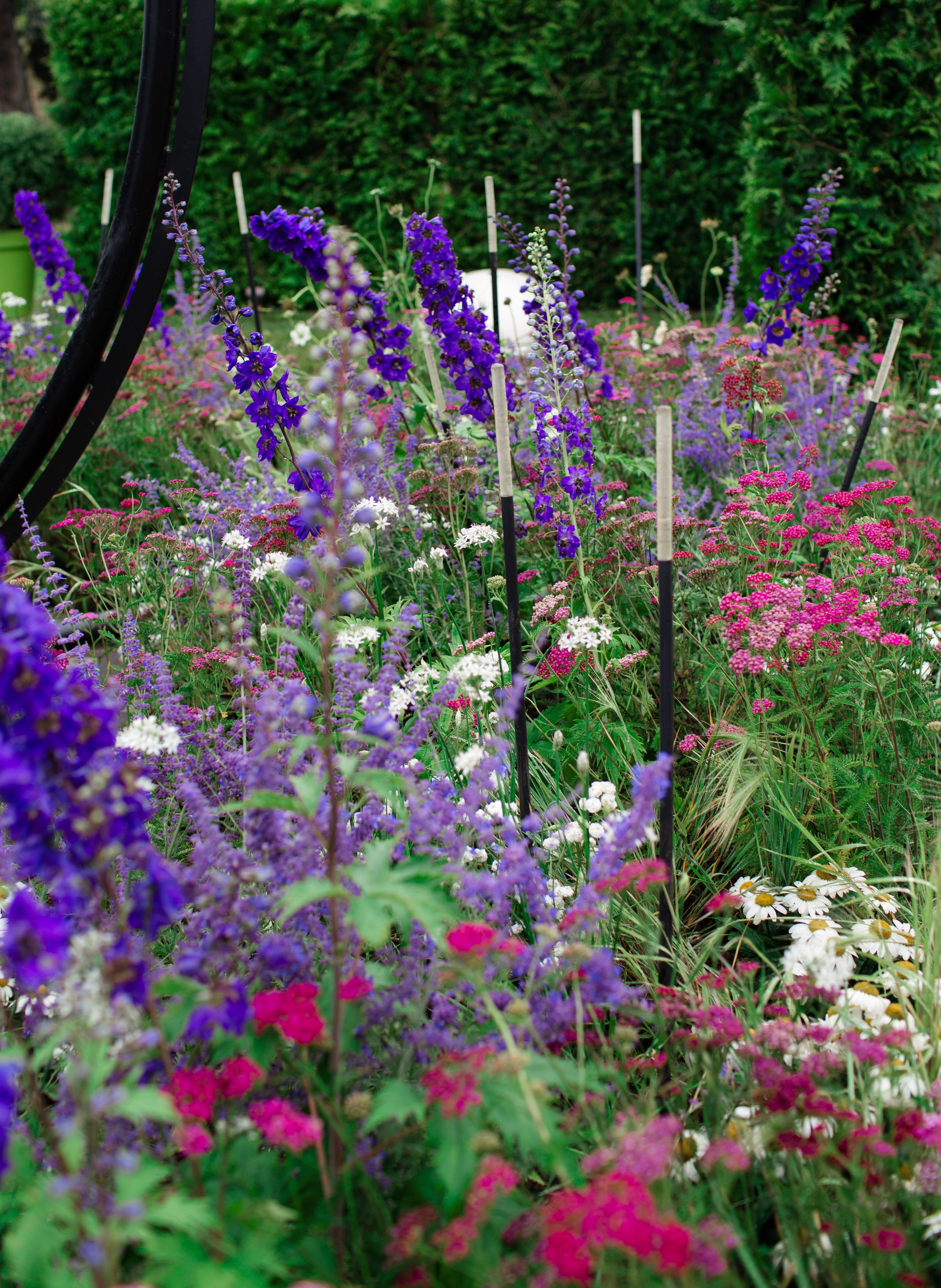 Ландшафтный дизайн. Фотограф Наталья Молчанова