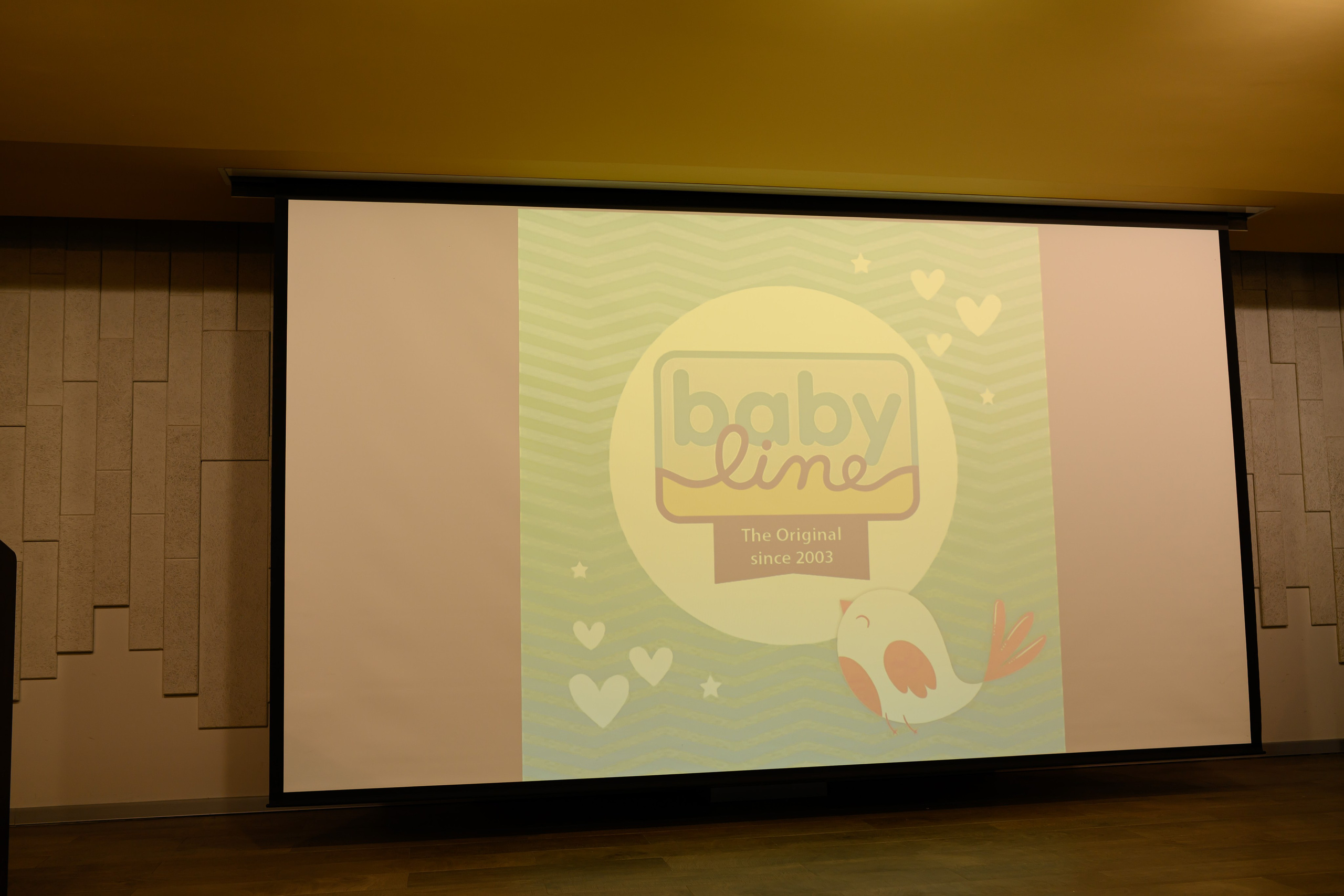 Праздник материнства ноябрь 2025. Профессиональный фотограф Елена Красилина г.Ярославль, г. Рыбинск