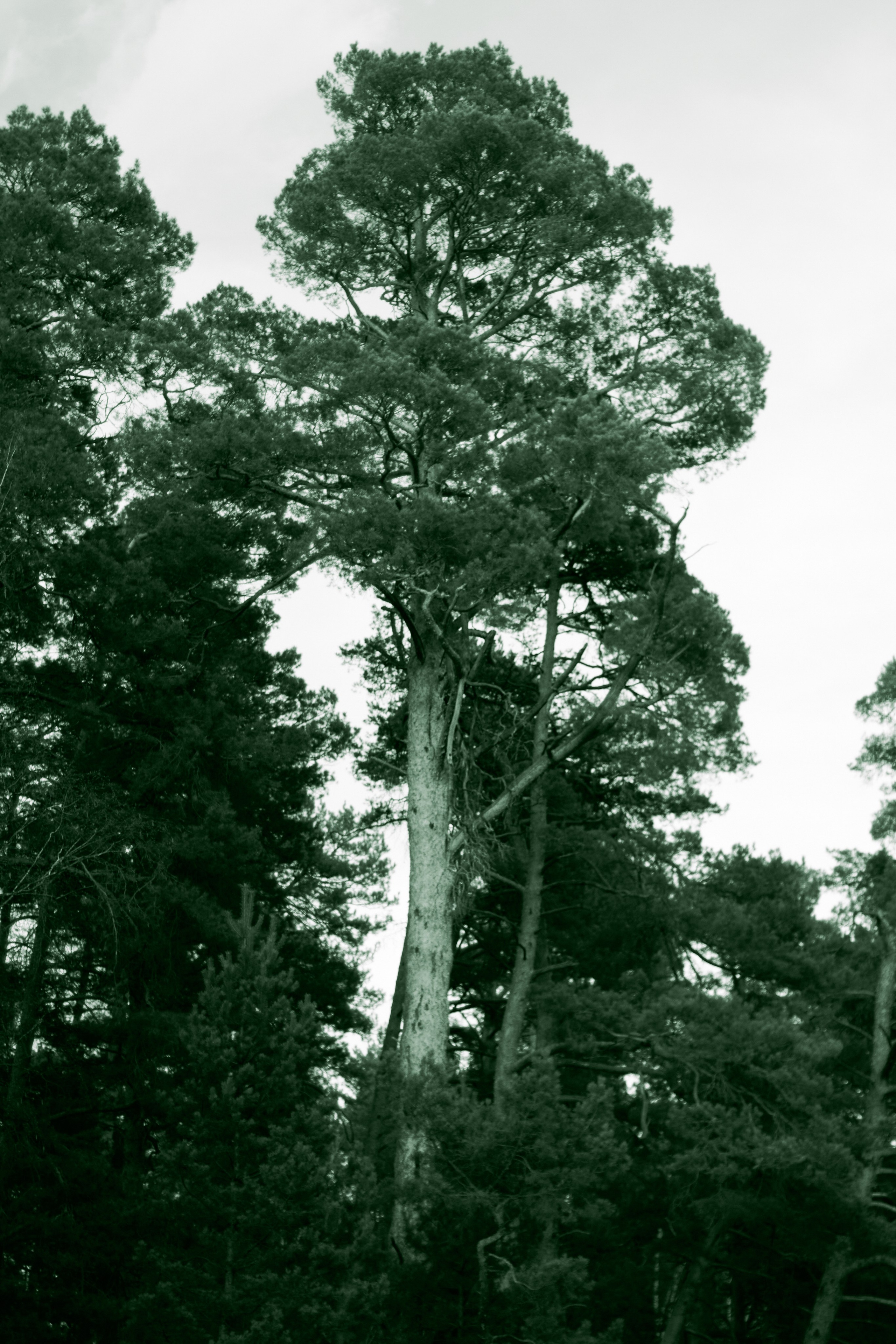  Фотограф: Ожерельев Лев