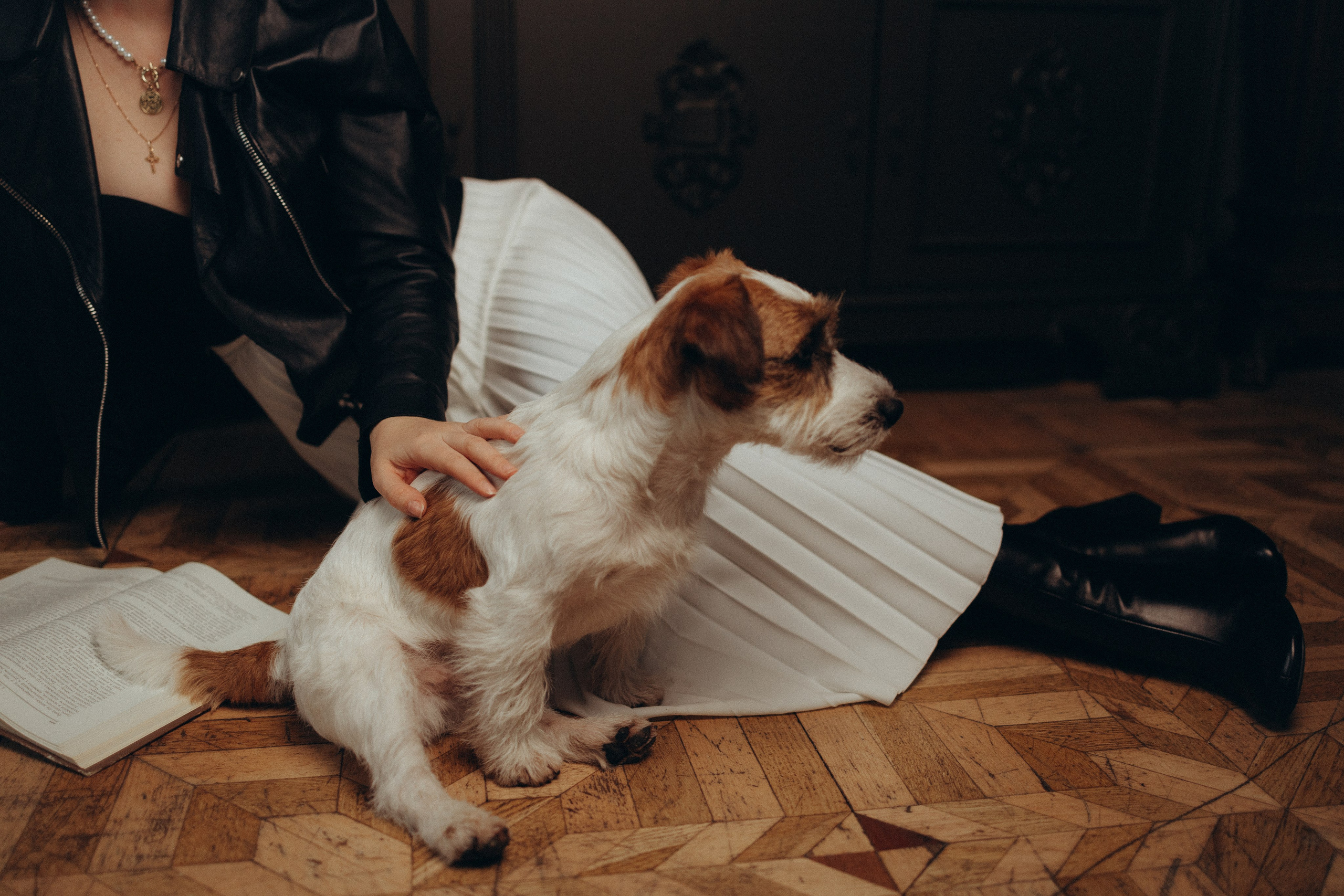 Маша и Фалафель. Фотограф Москва Алёна Суворова