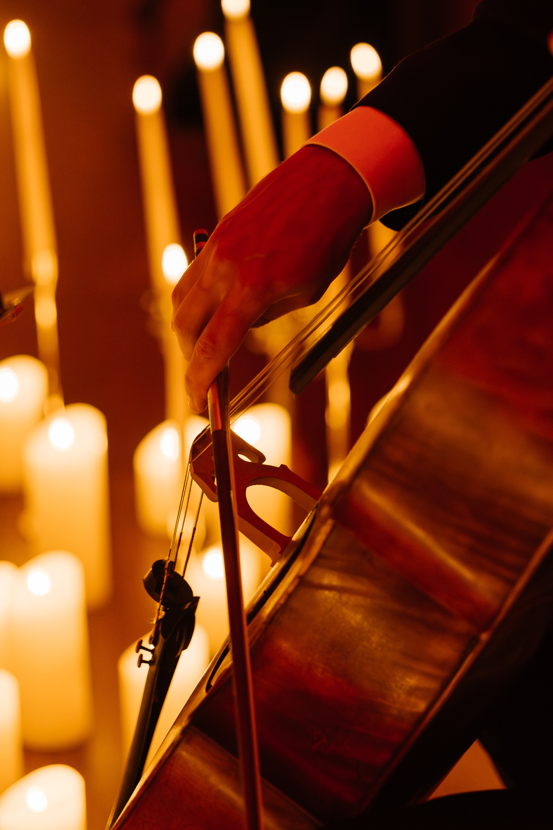 Концерт | amadeus. Showbiz | Fashion | Reportage