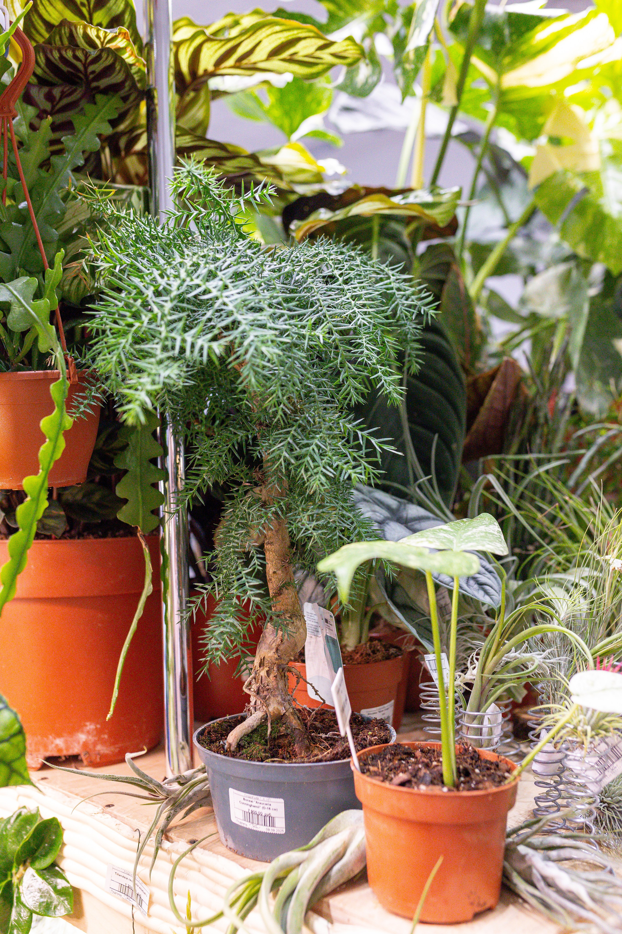 Монстериум 11–12 октября. Александра Куликова фотограф, Москва