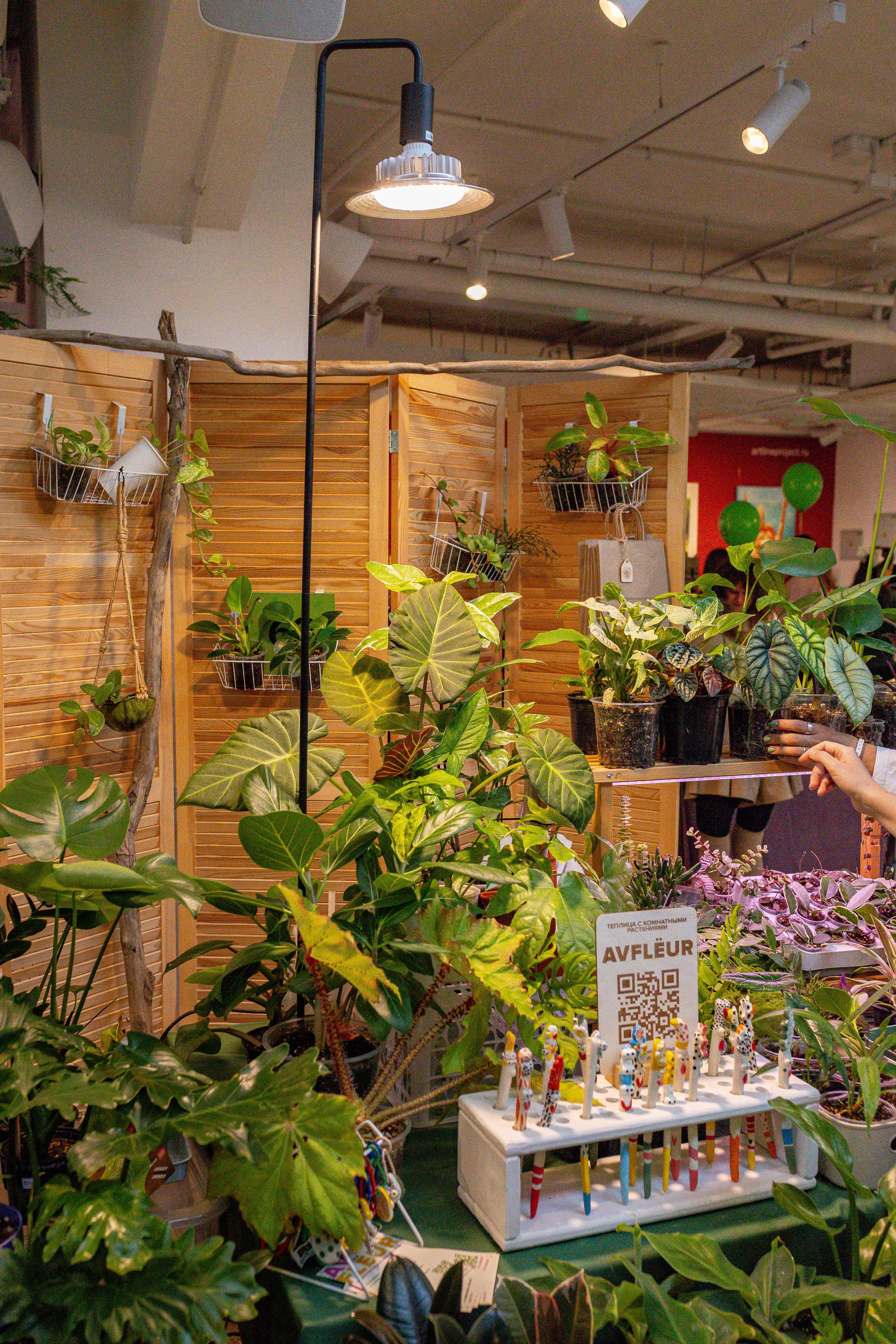 Growbox 5лет. Александра Куликова фотограф, Москва