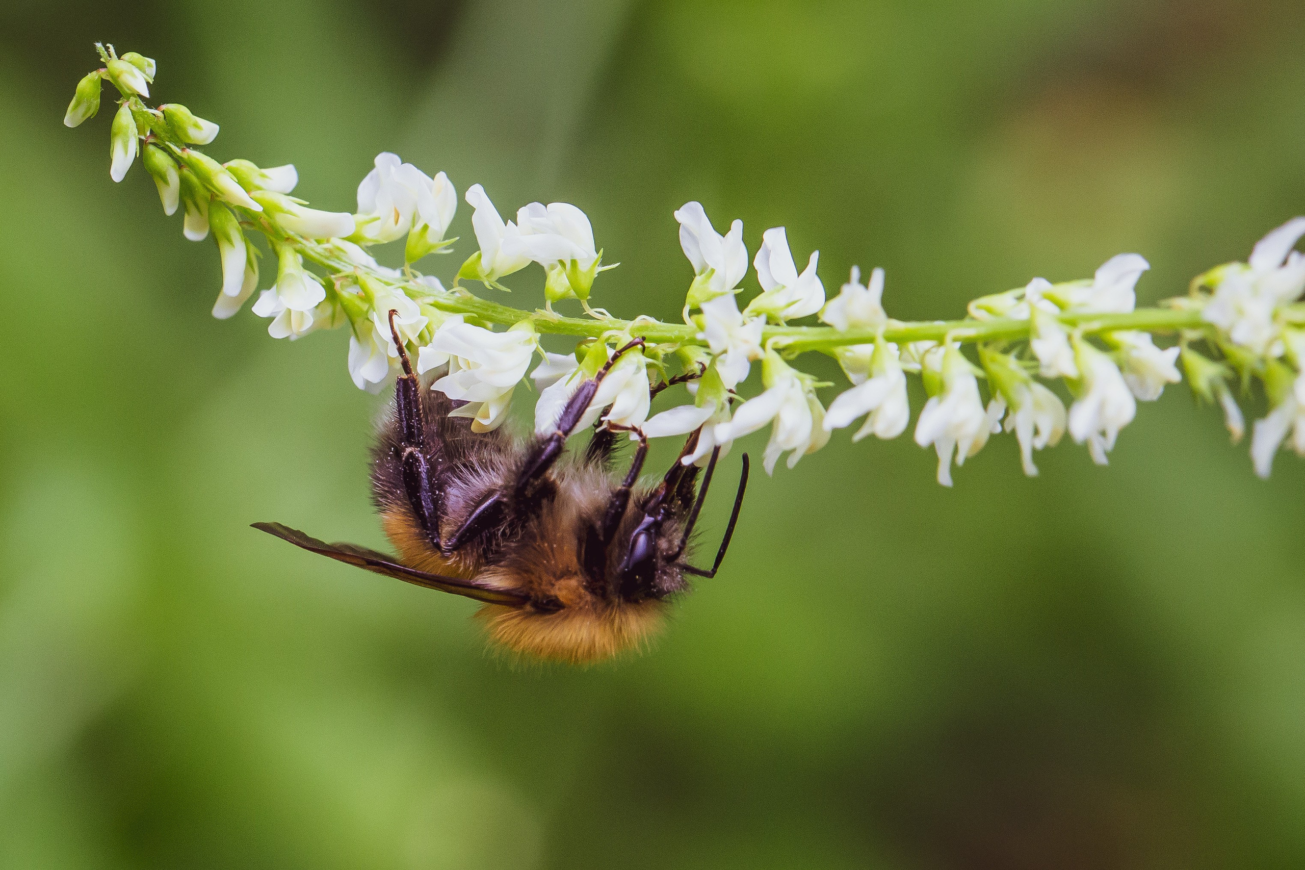 Nature/Urban. Владислав Ромашев. Семейный и детский фотограф из Москвы