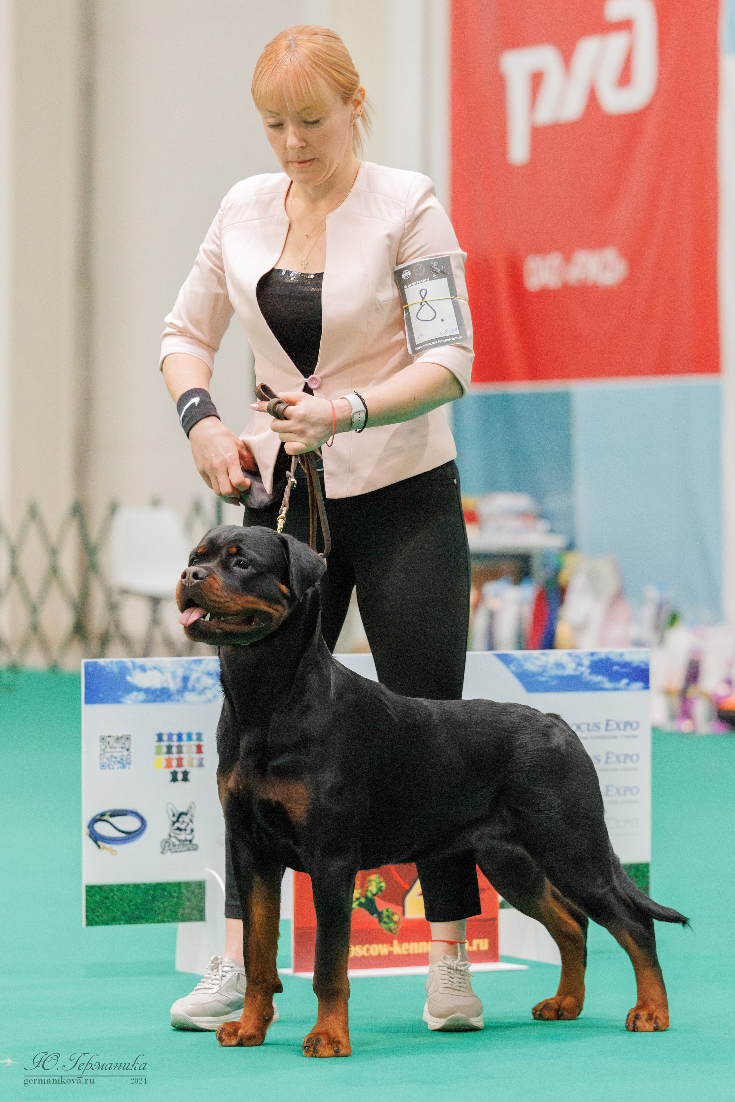 Сфера и Крокус 8,9,16 и 30.03.2025. Фотограф-анималист Юлия Германика