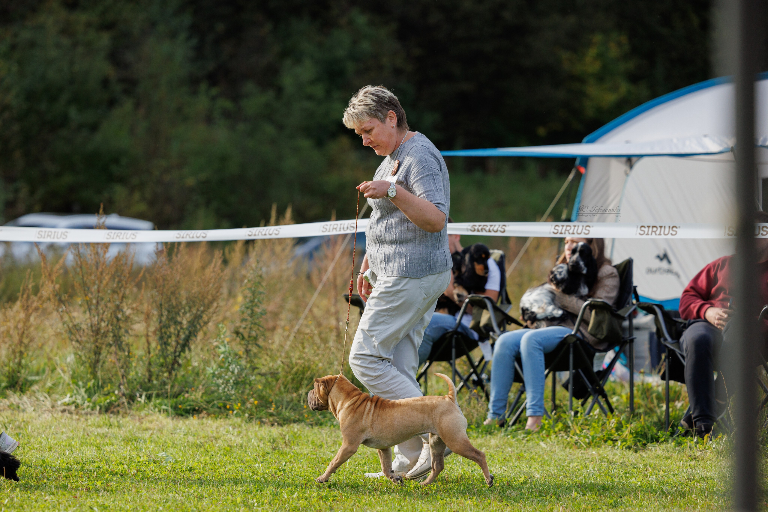 Зеленоград 13.09.2025. Фотограф-анималист Юлия Германика