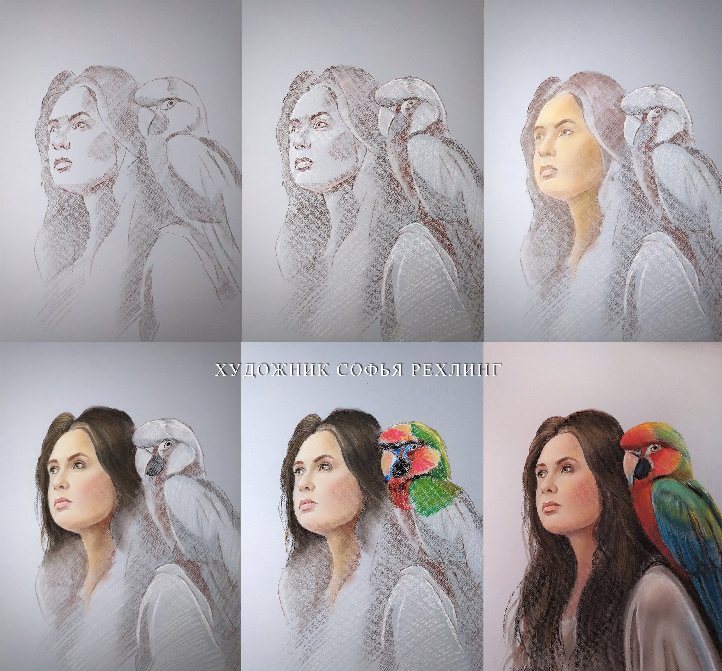 Stages of drawing a portrait