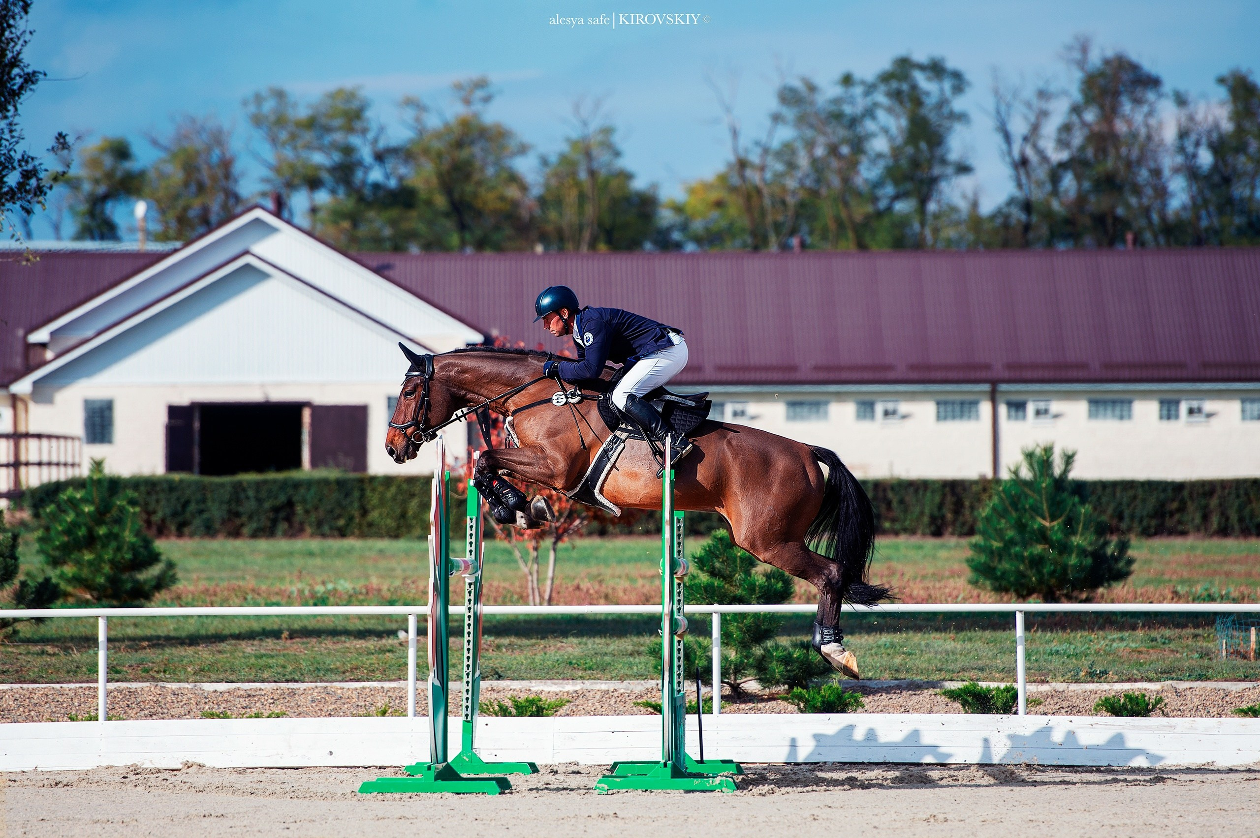 Кировский конный завод. Конный фотограф Alesya Safe