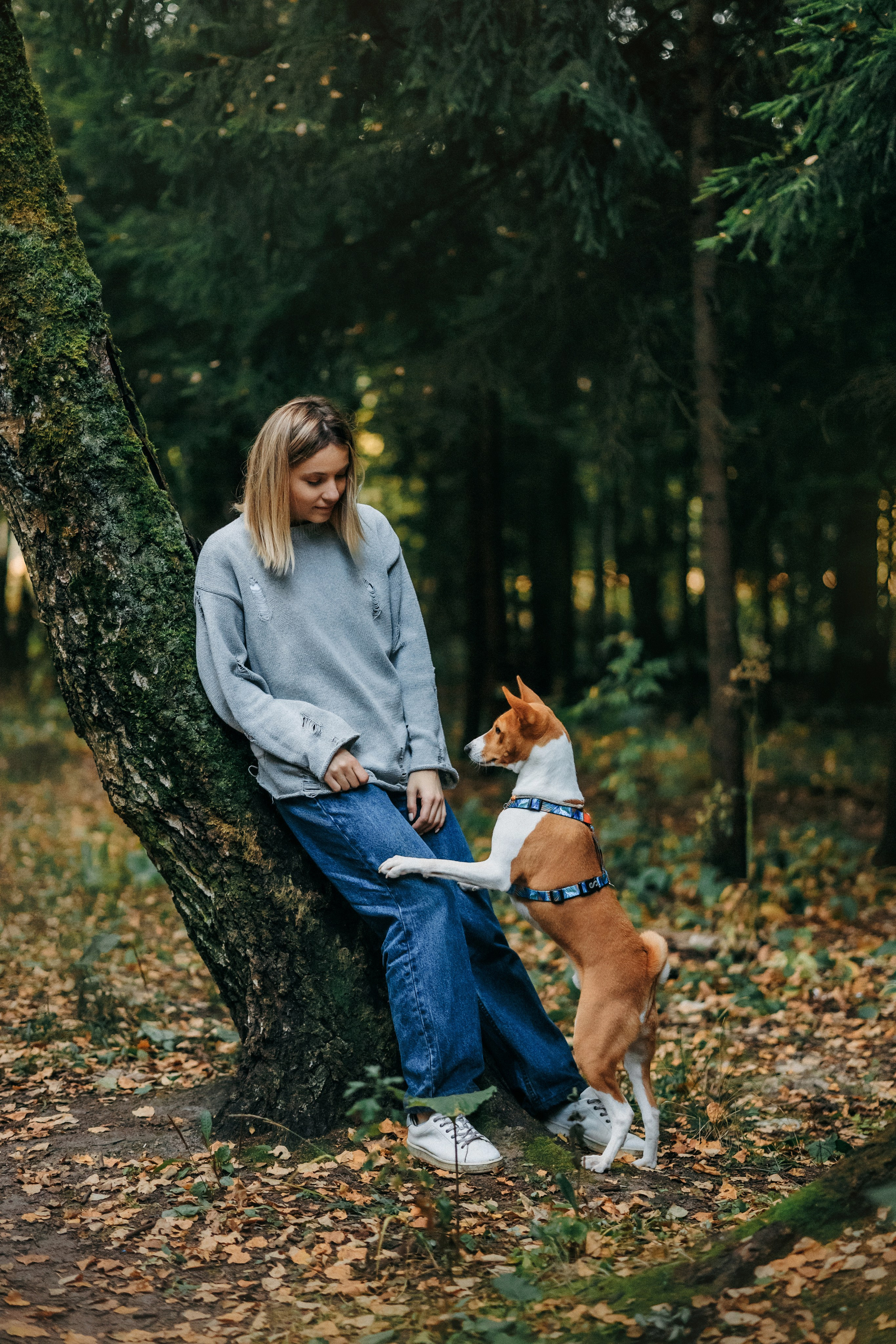 Лена и Джин. Фотограф-анималист Елена Радченко, Москва