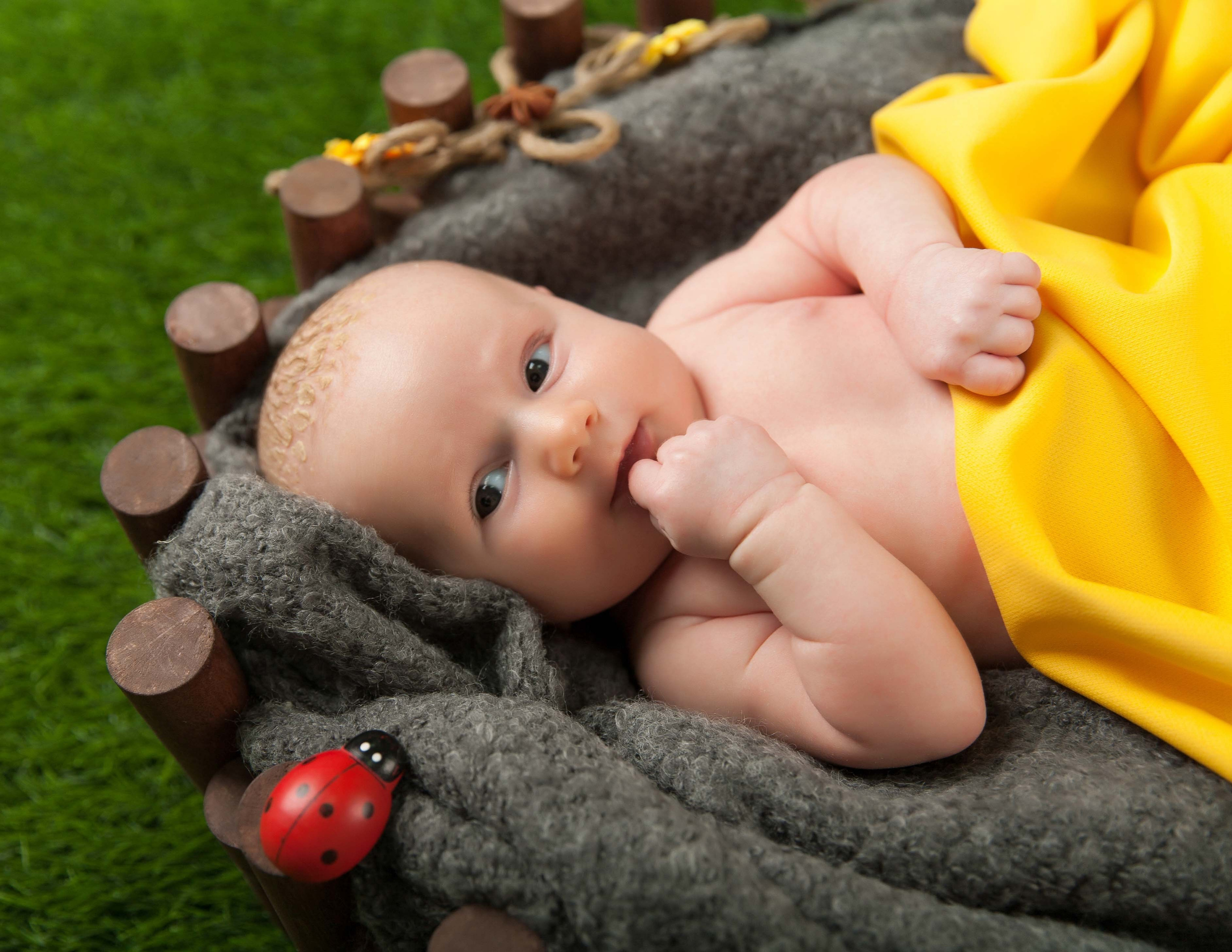 Новорожденные и младенцы. Фотостудия Алматы. Фотосъемка Алматы. Фотосессия Алматы. Фотокурсы. Обучение фотографии. Аренда студии