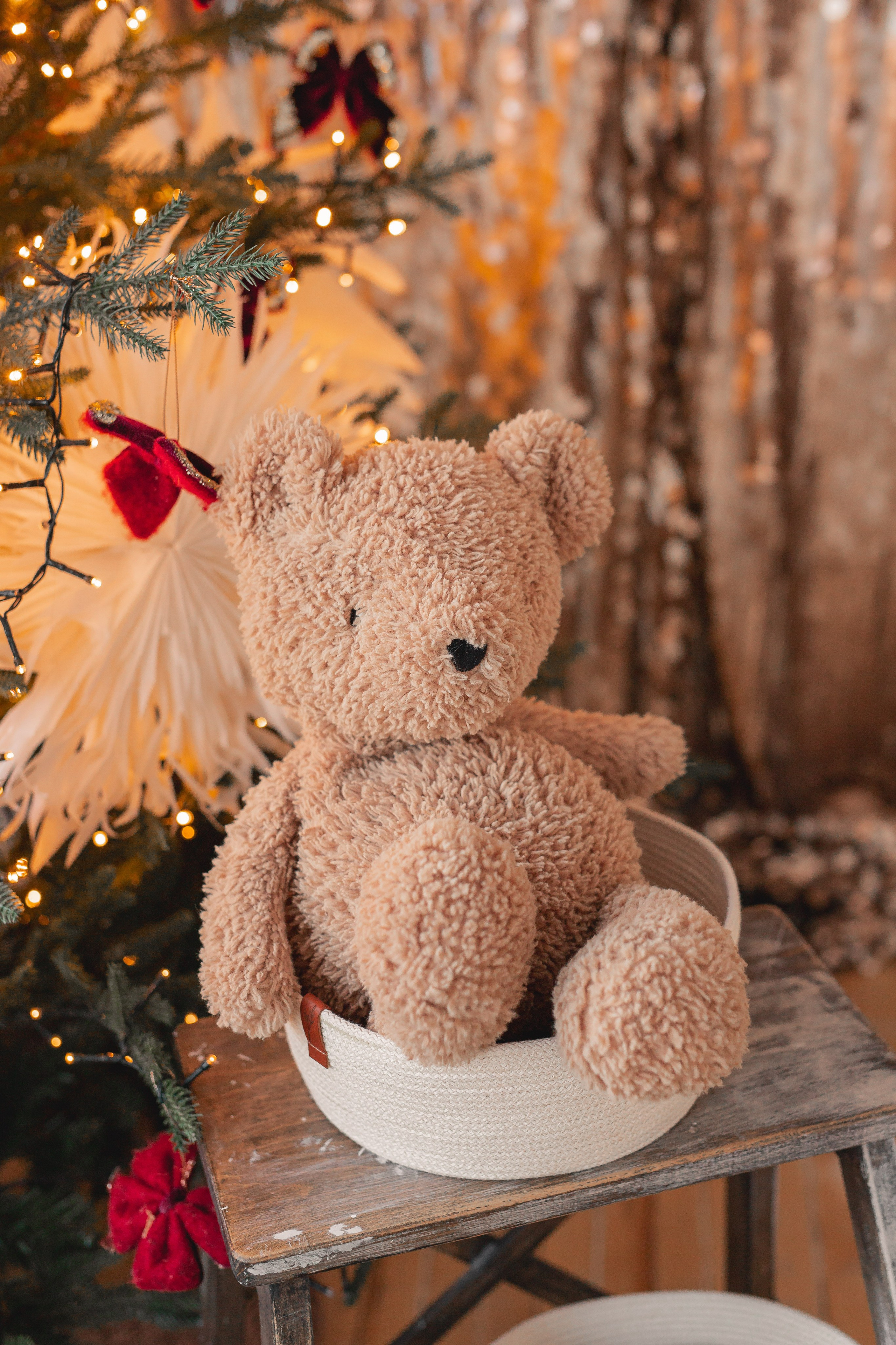 Семья Дмитриевых. Фотограф Анастасия Петрова