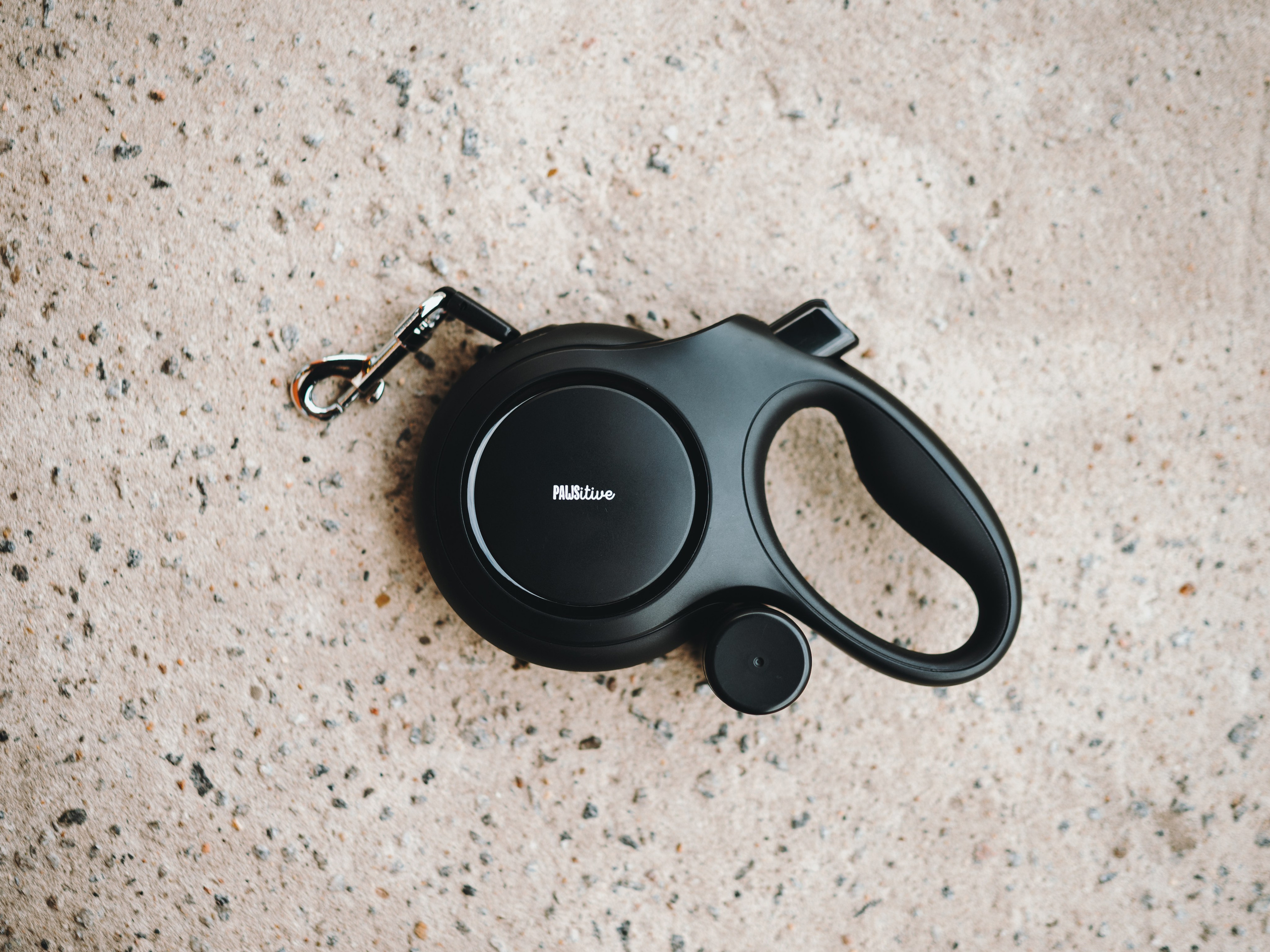 Pawsitive. Семейный фотограф анималист Ананьева Мария — Москва