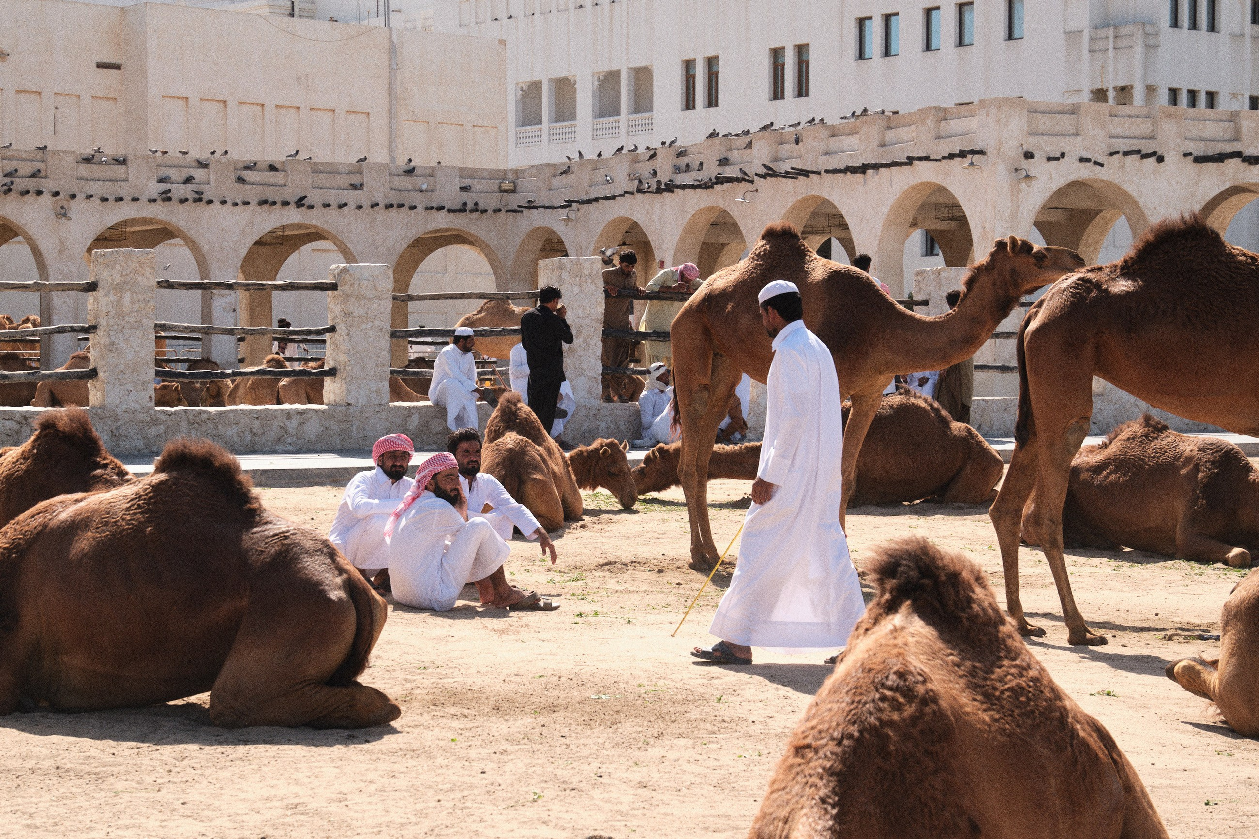 Оман. ОАЭ. Катар. Бахрейн. Юрий Березнюк. Фотожурналистика