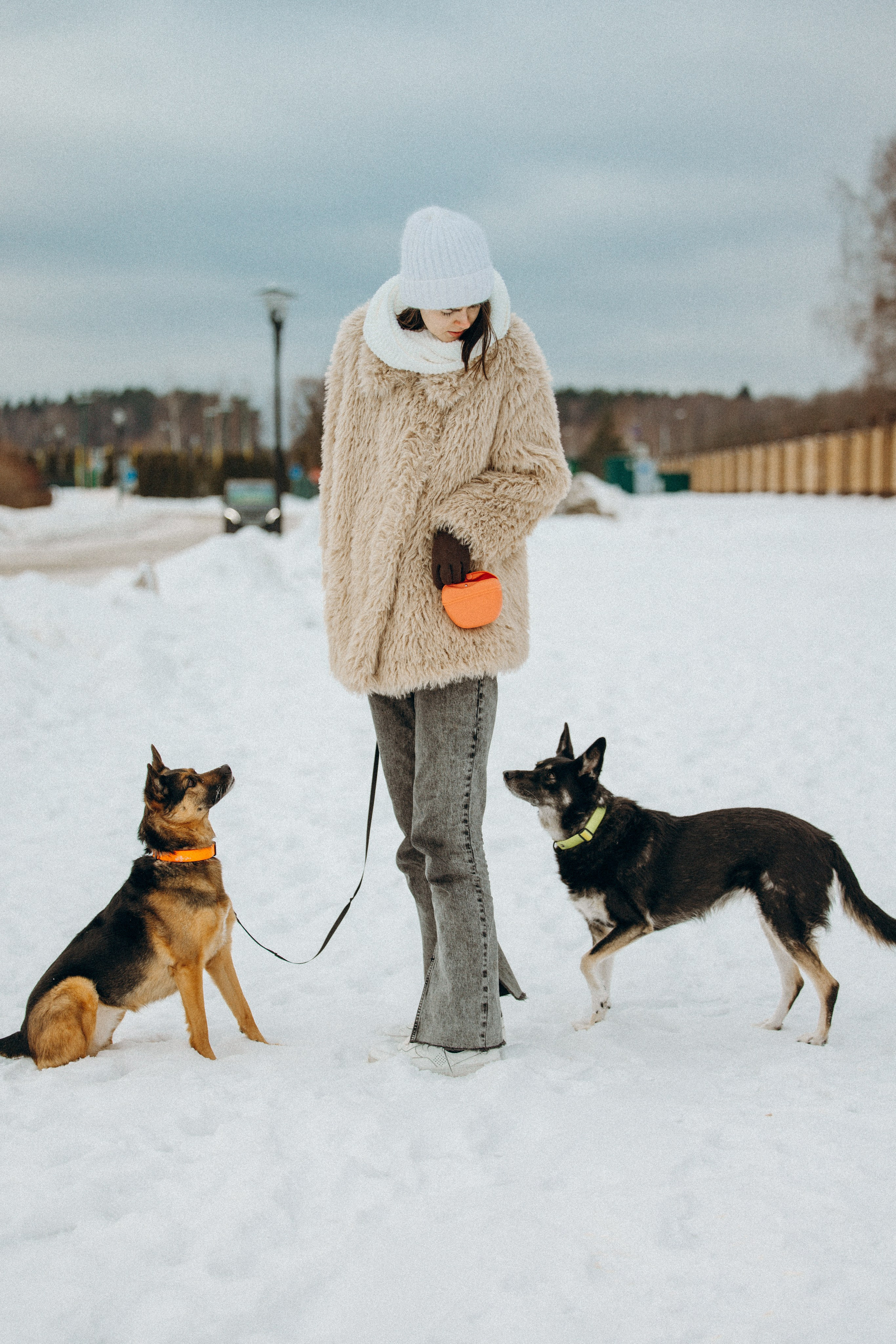 Ника, Матиша и Герда. Фотограф-анималист в Москве Лера Черноног