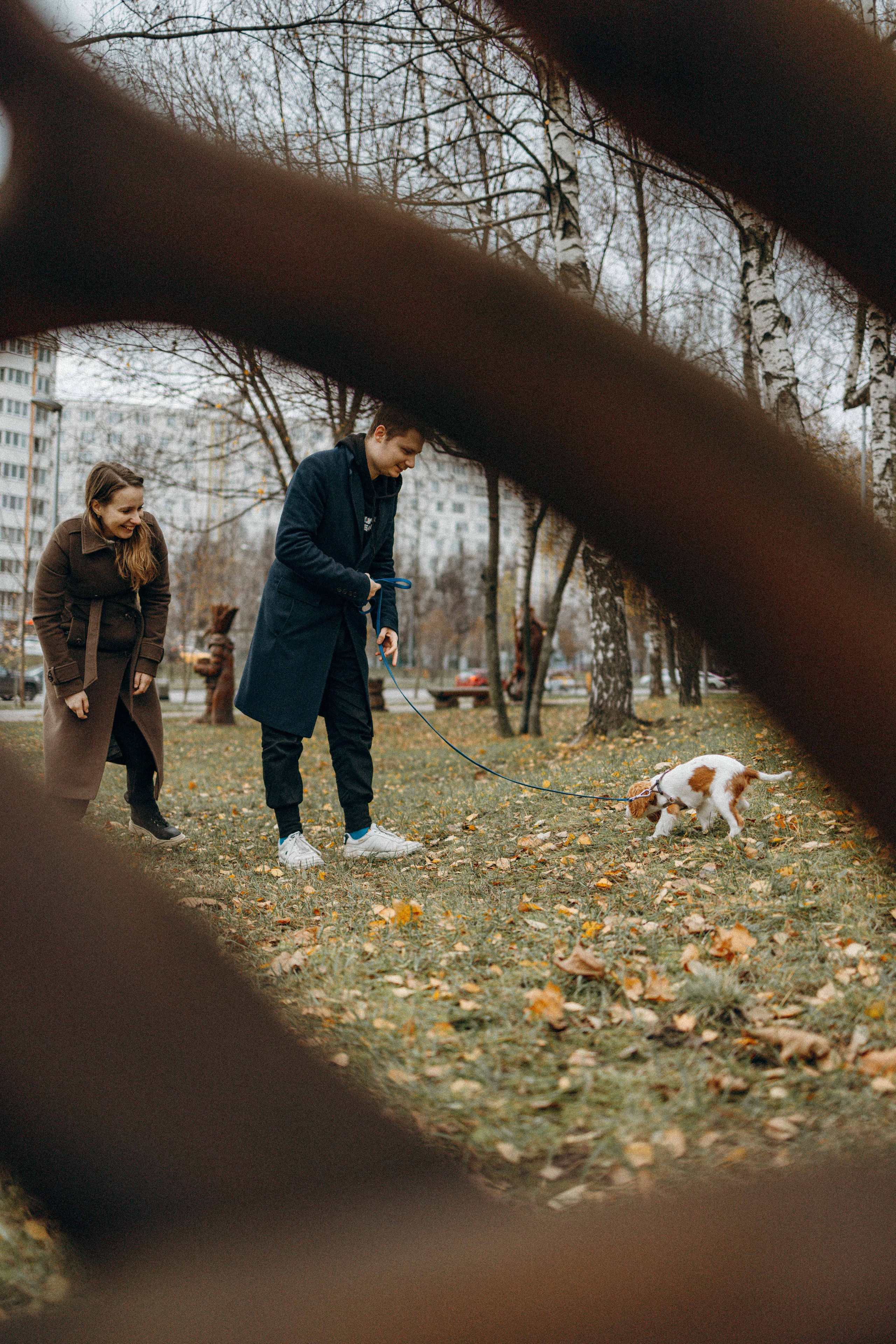Юля и Кипр. Фотограф-анималист в Москве Лера Черноног