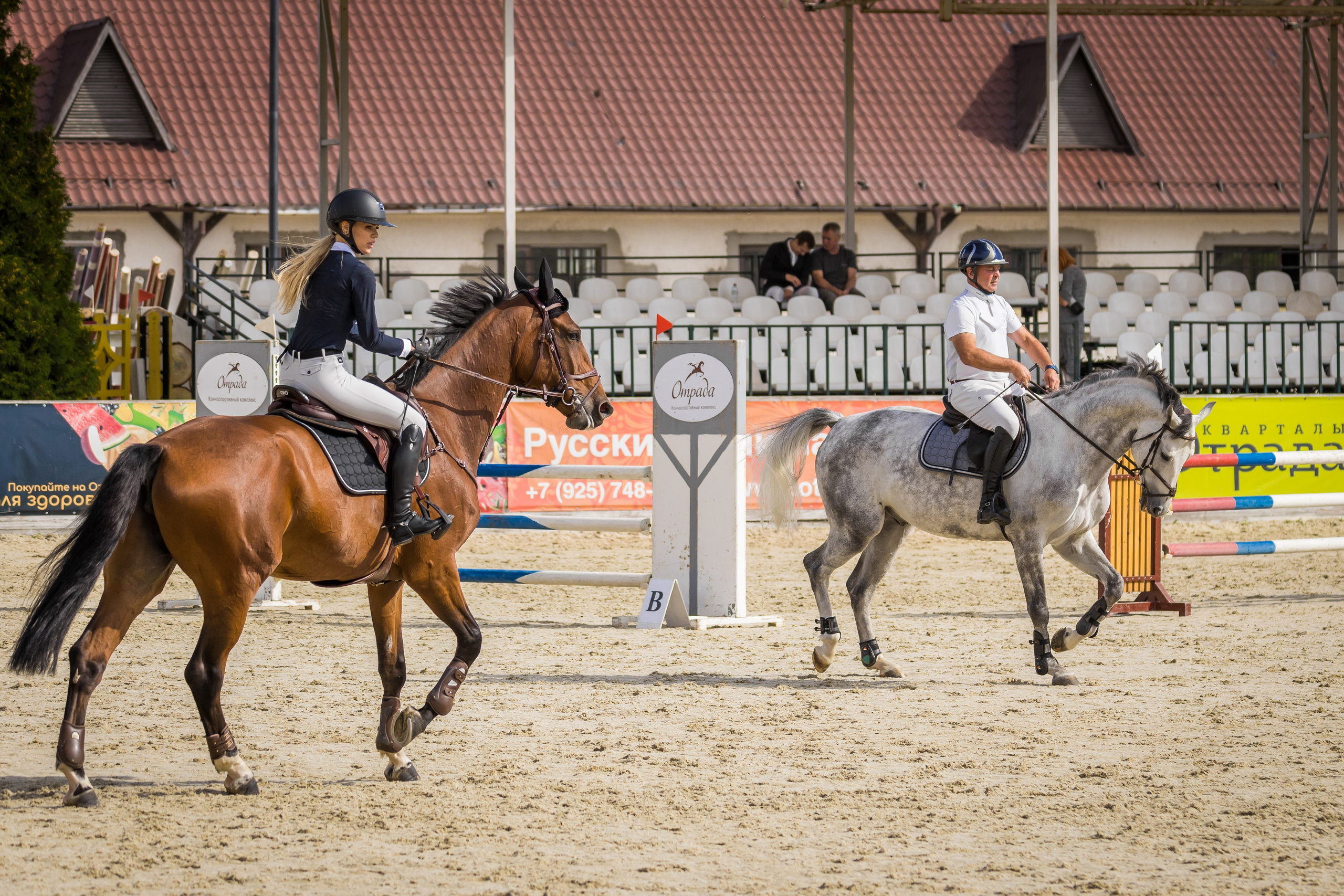 Конный спорт. Photomantis