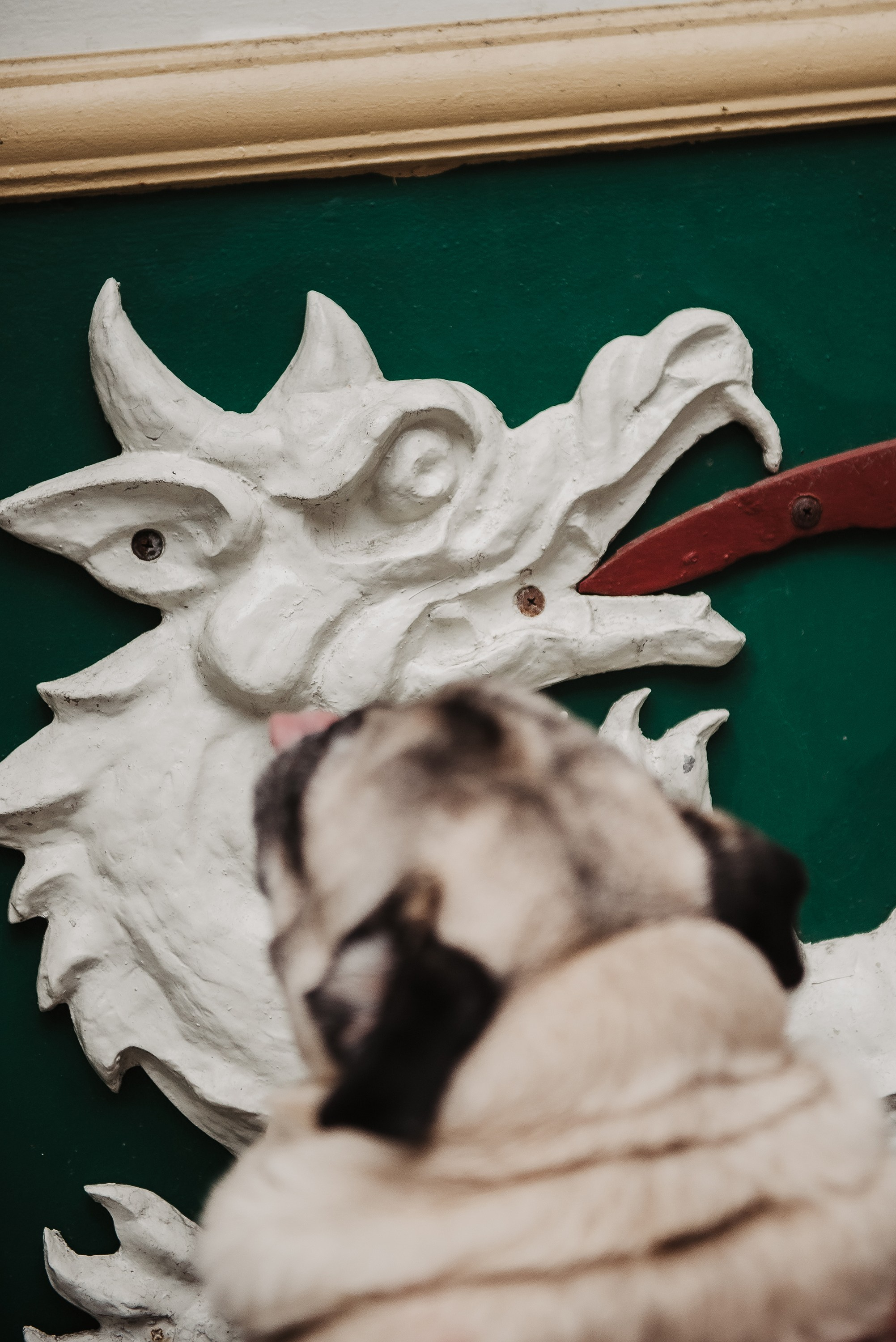 Ольга и Потапум. Прогулка к чайному дому. Семейный Фотограф в Москве Ирина Хохлова