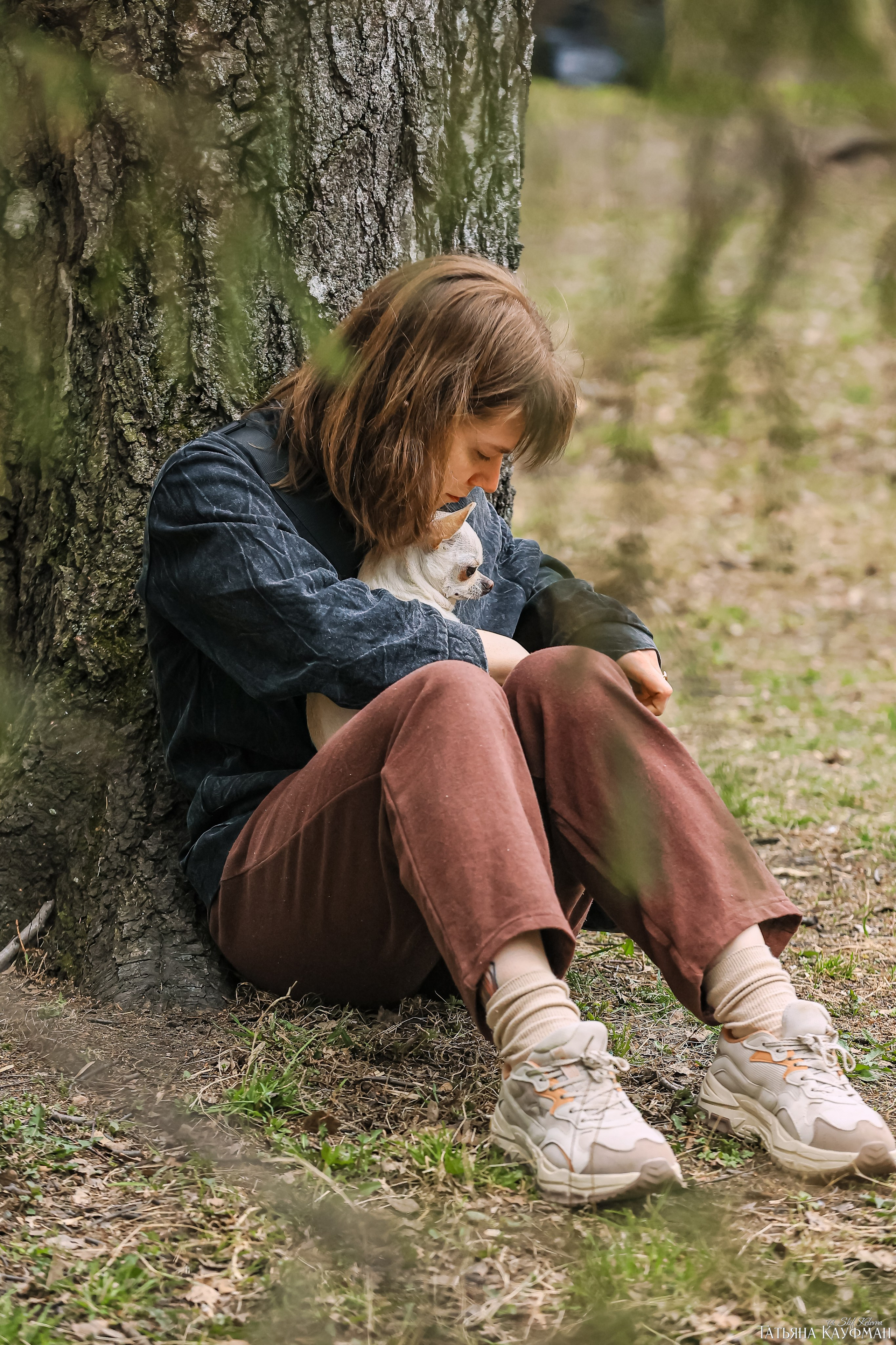 Салюки, фотография салюки, красивая собака, фотограф анималист, фотокурс Анималистика, научиться фотографировать собак, фотограф Новосибирск