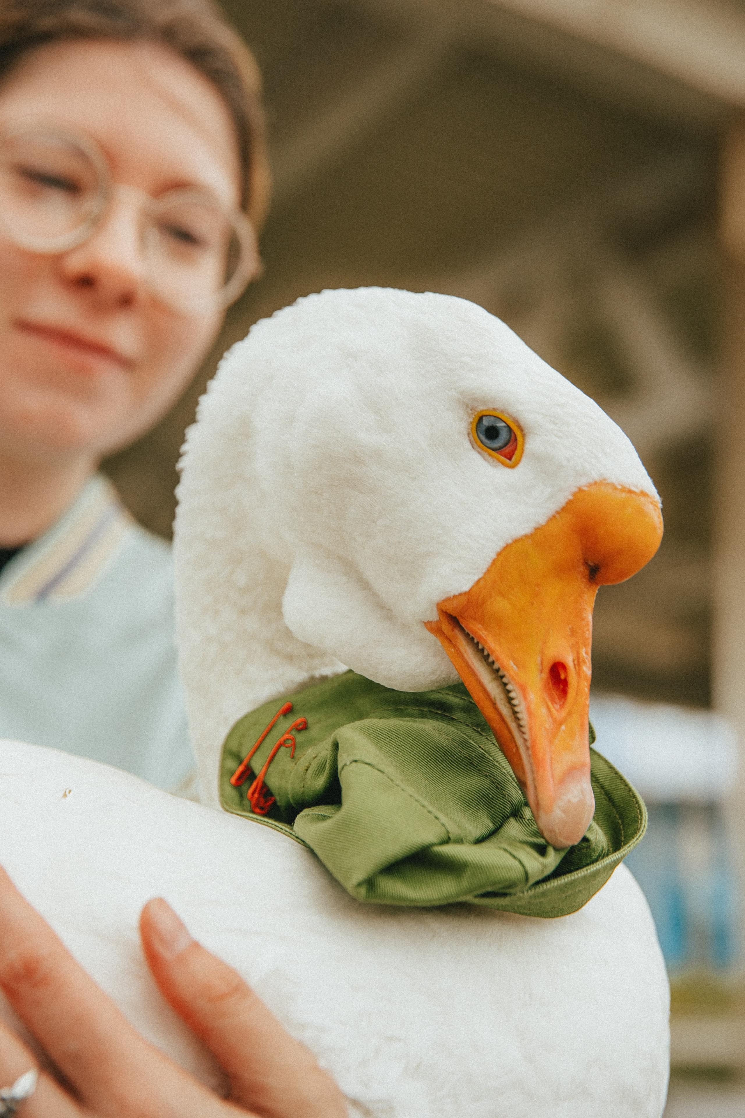 Зеленый фестиваль в Крыму. Izotoff Photographer