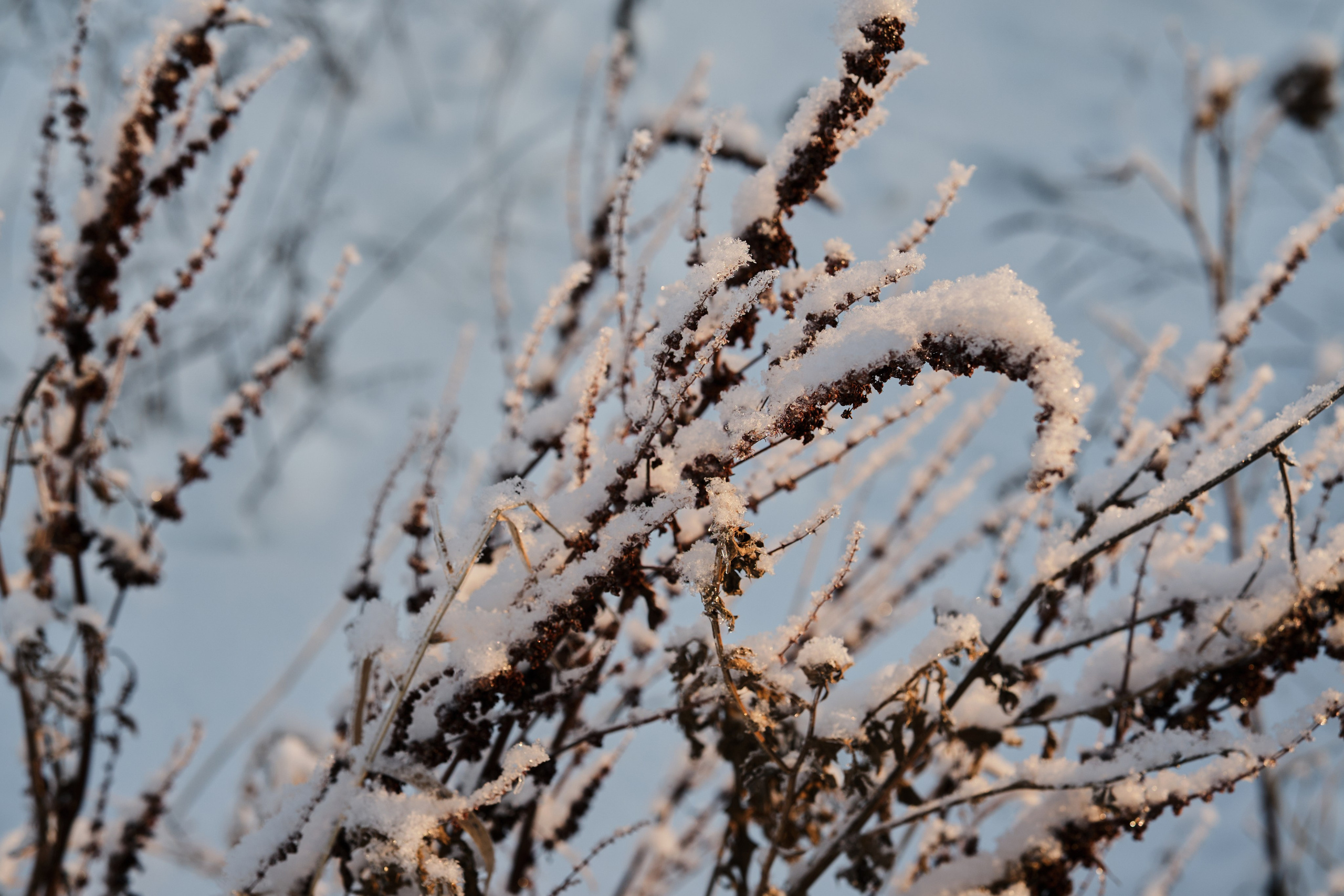 Фотографии Шлиссельбурга | Филипп Линзин. Репортажный и портретный фотограф в Санкт-Петербурге Филипп Линзин