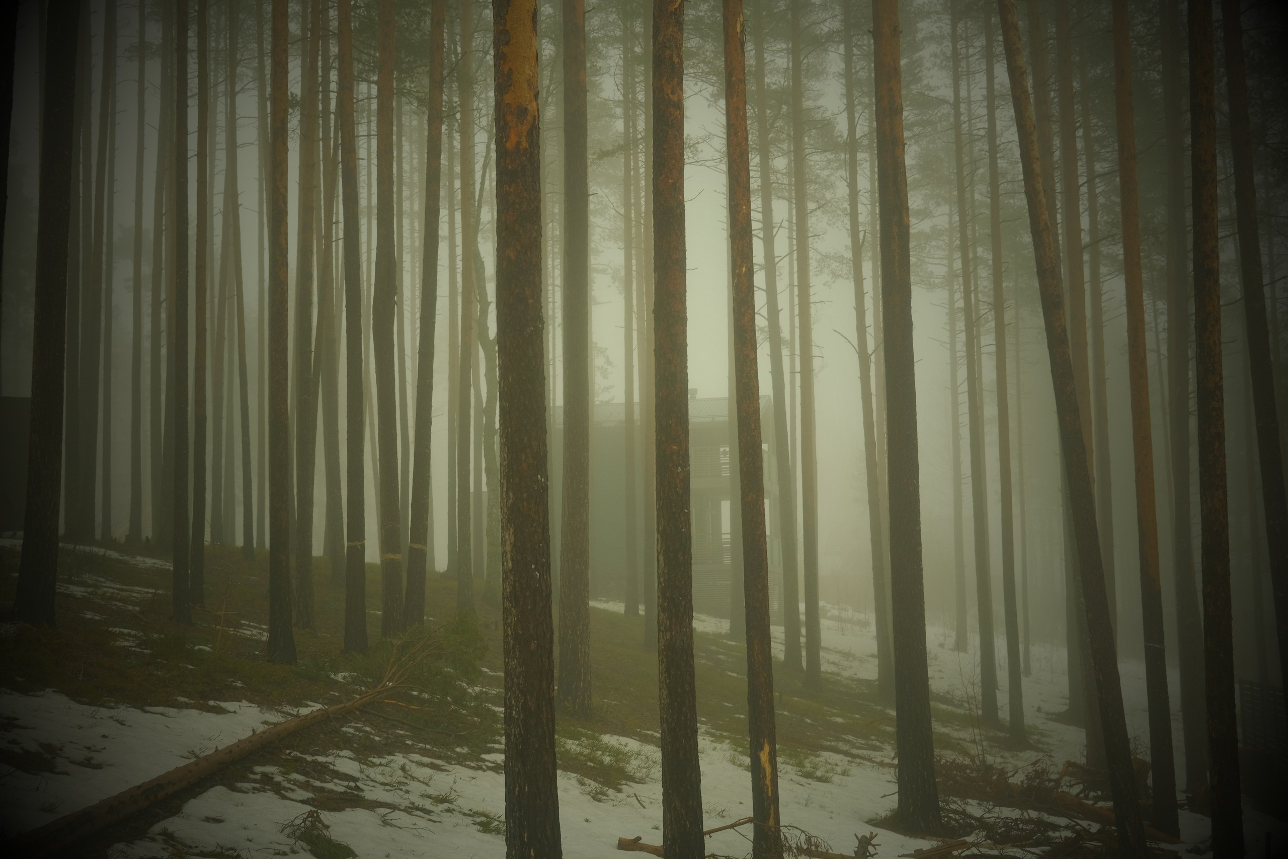Рефлексия. Портретный фотограф