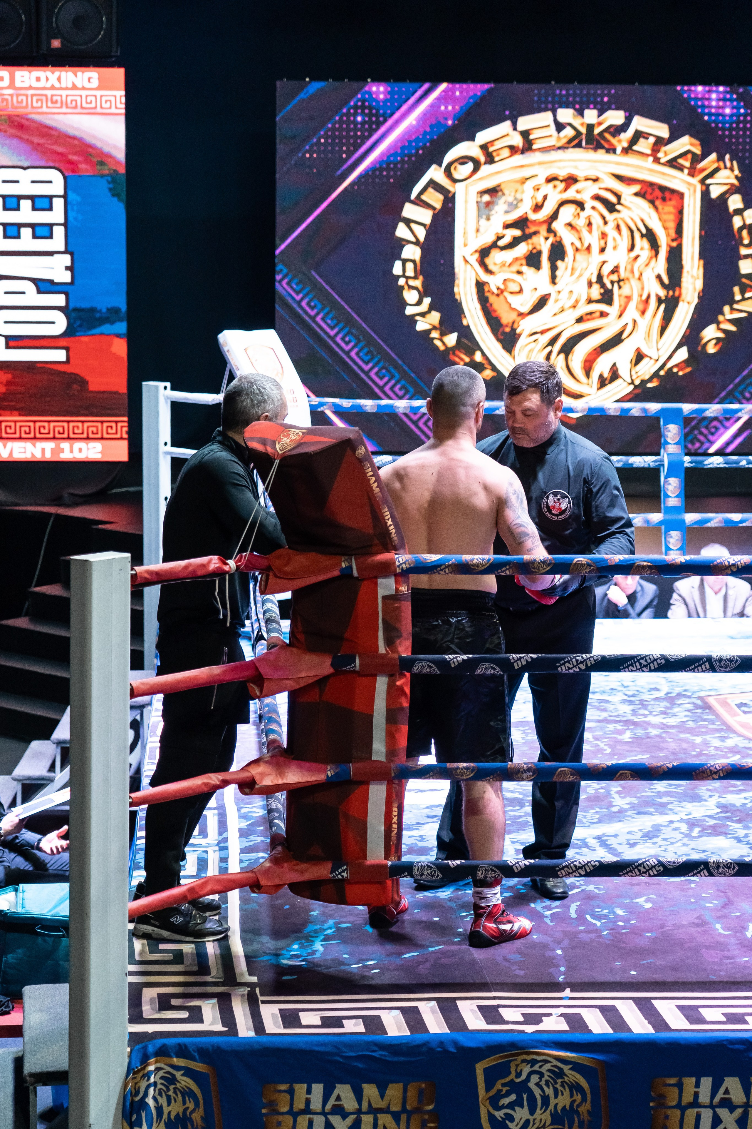 Бокс. Наталия Фролова. Фотограф. Москва